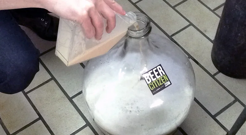 Recipe: Nordic American Fusion Farmhouse Ale (Vandregær)