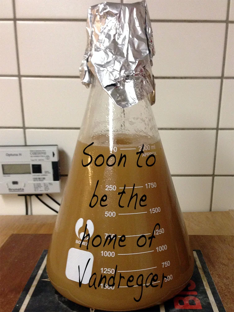 Nyt Nordisk Øl (New Nordic Beer) Vandregær