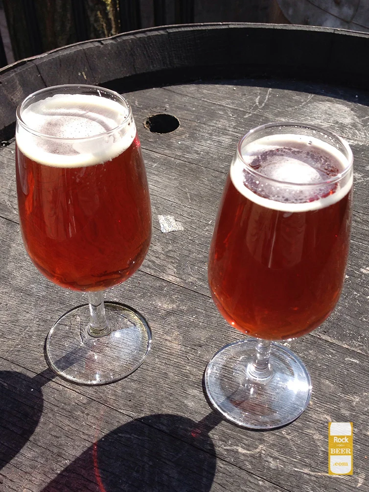 mikkeller-brewdog-i-hardcore-you.jpg