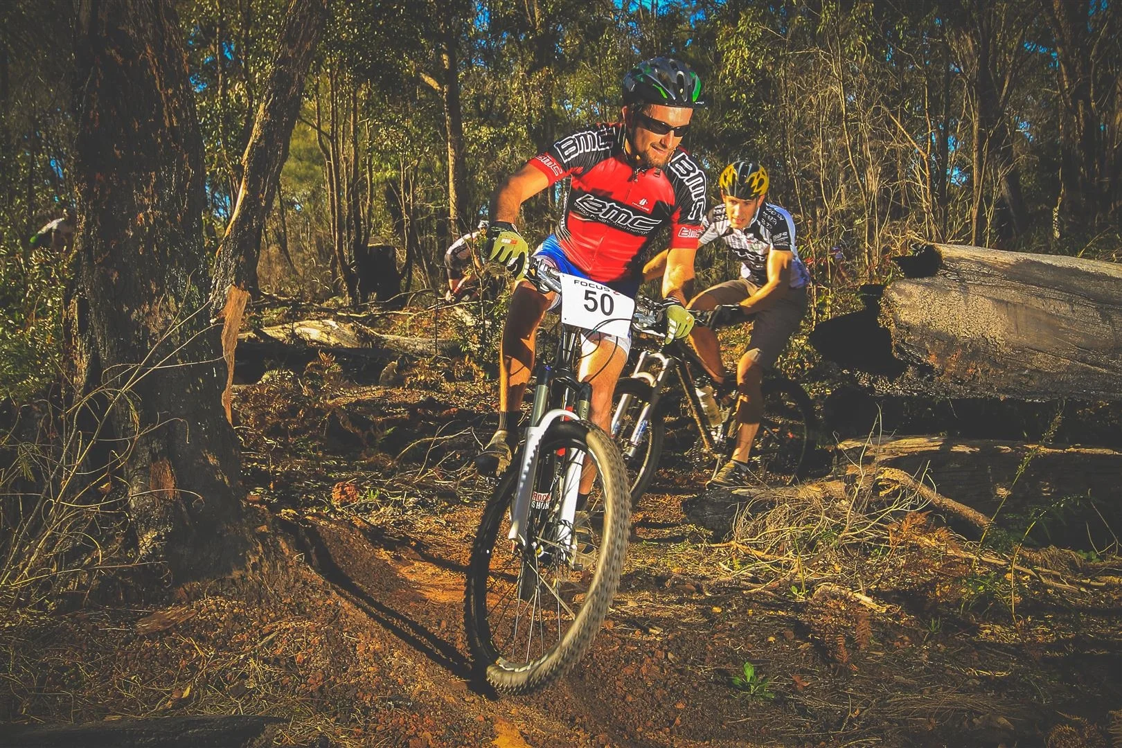 pilerd4hr-6745 (Large).jpg