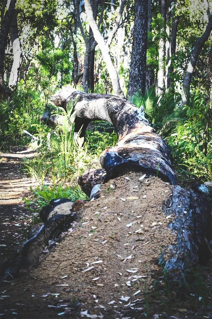 untitled-0147 (Large).jpg