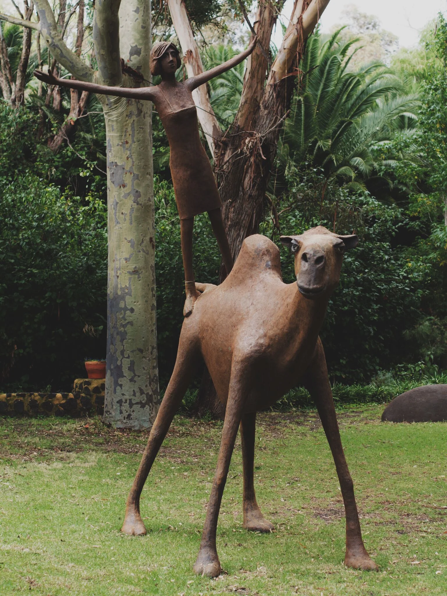 camel 