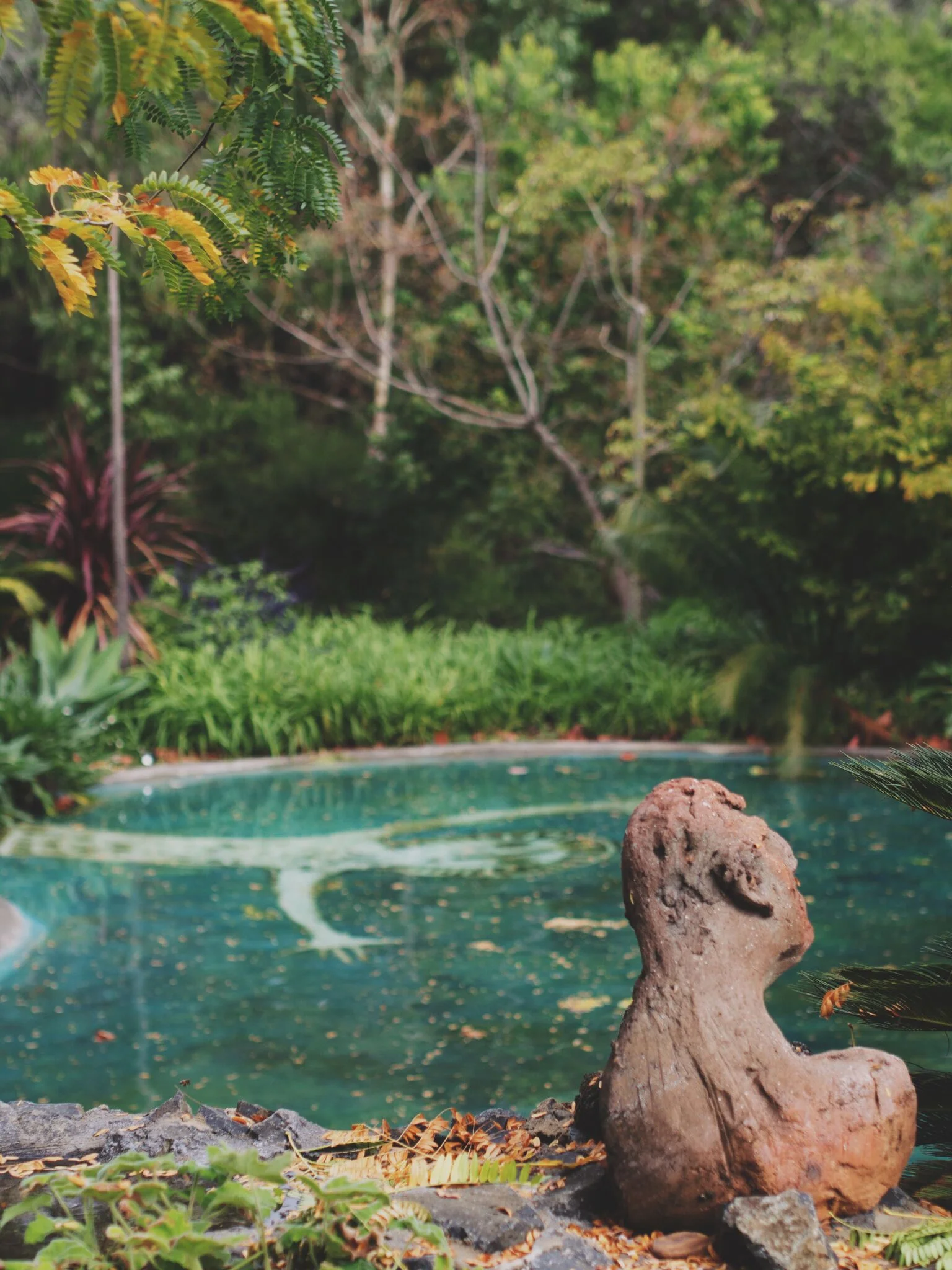 nature pool.jpeg