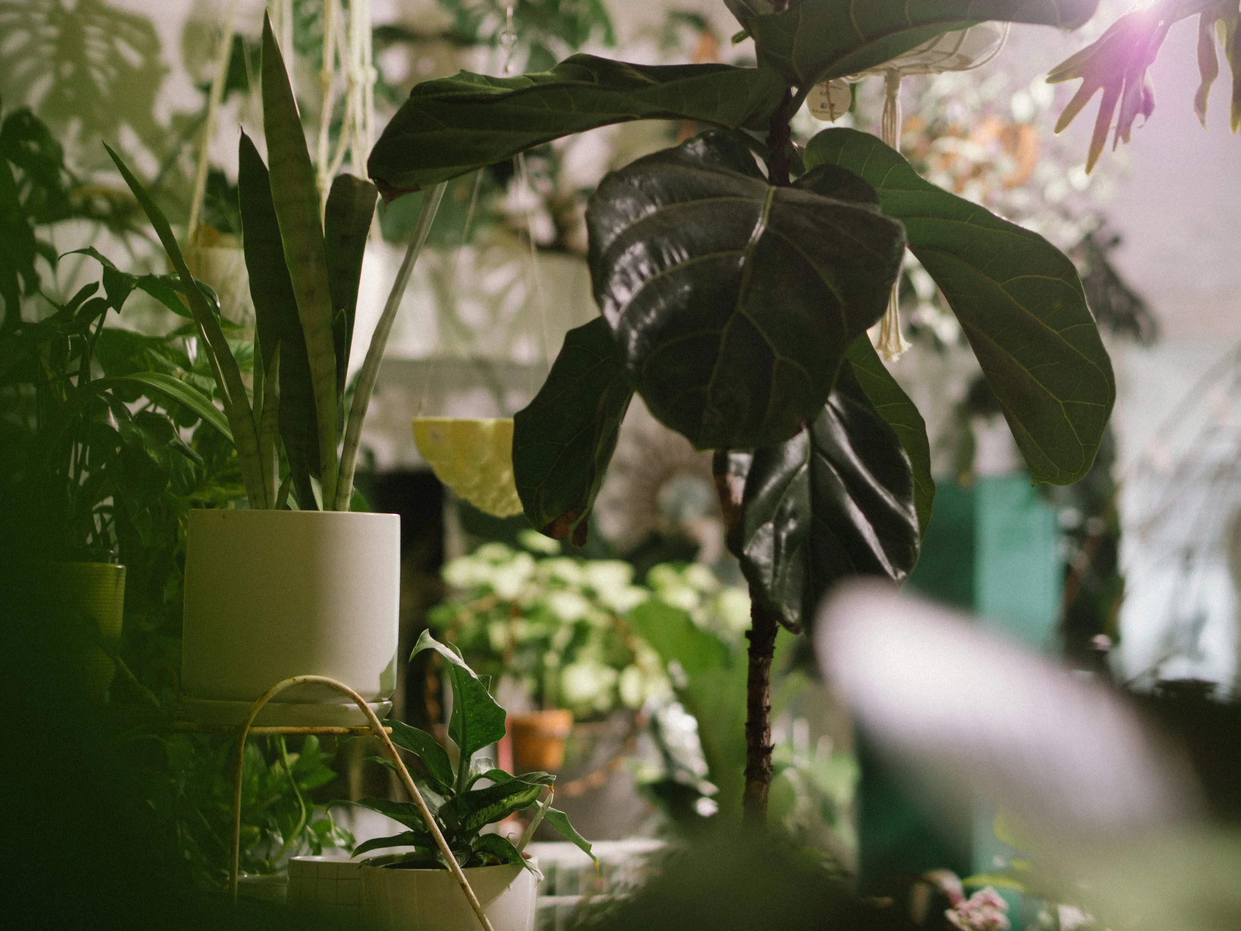 Green Depot. jm (4 of 11).jpg