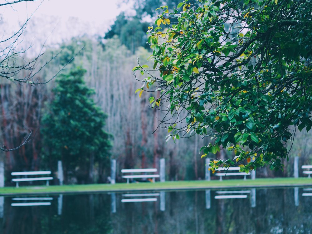 Fontys Pool Manjimup 