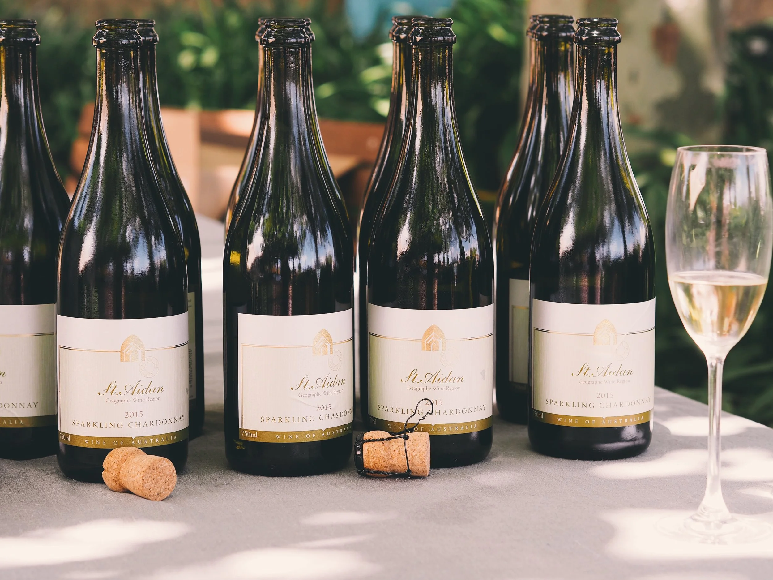 Photo 4-11-18, 1 20 26 pm.jpg