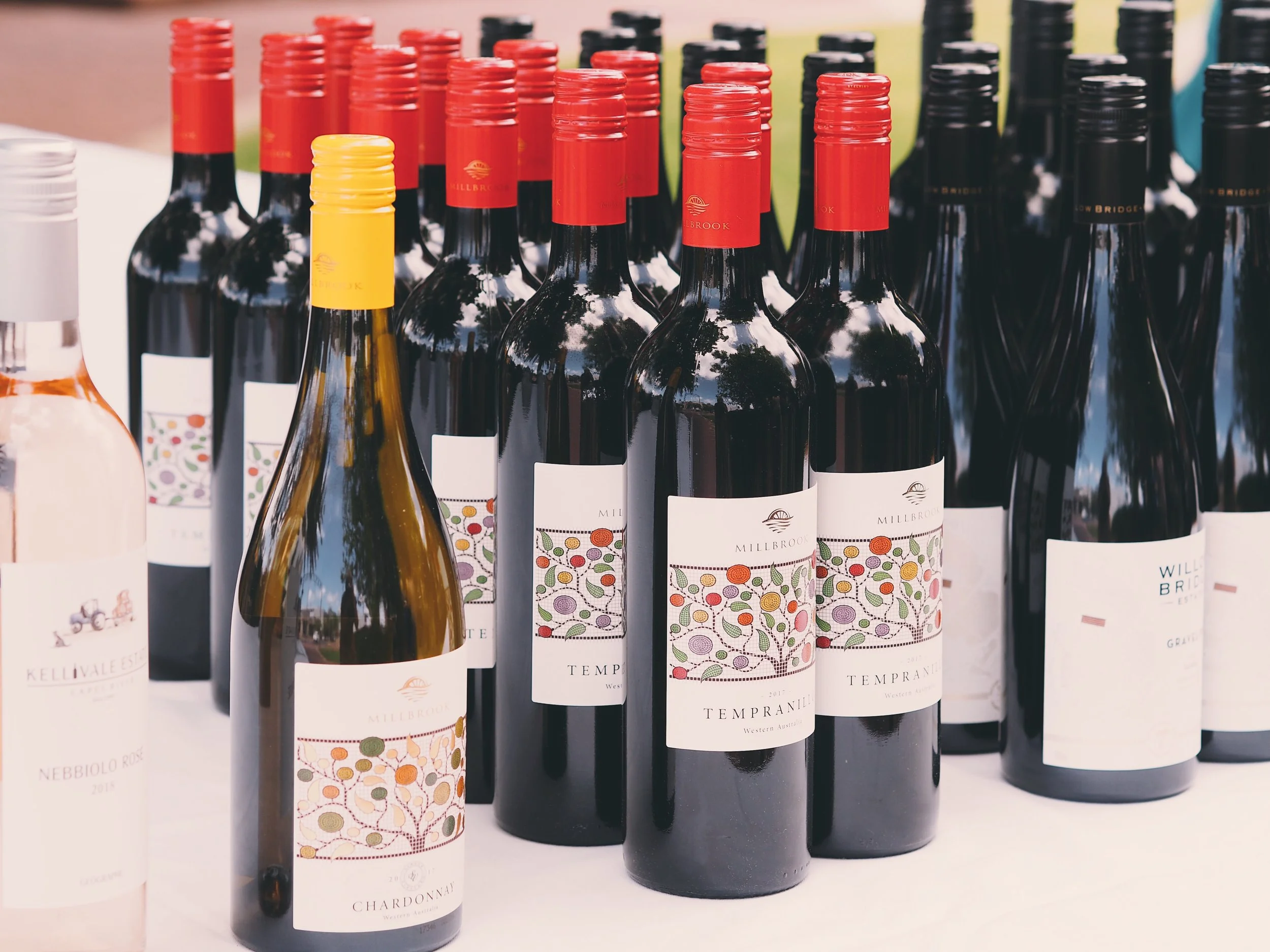 Photo 4-11-18, 12 37 28 pm.jpg