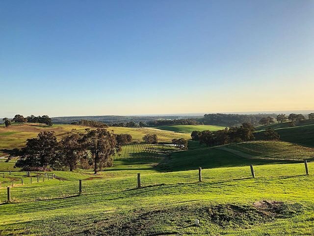 The beauty that is Ferguson Valley and the view from one of my of my favourites 💚SO good to get back to visiting lovely venues and eating and drinking with great company! 🙌🏻🍷@greendoorwines