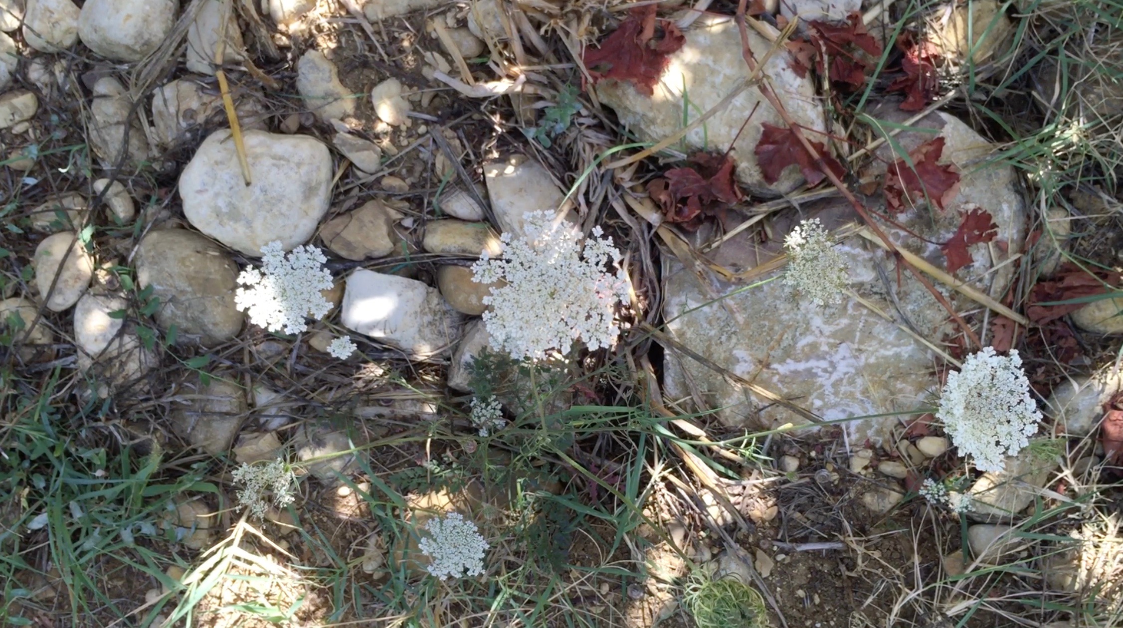 Screen Shot 2016-10-21 at 22.35.38.jpg