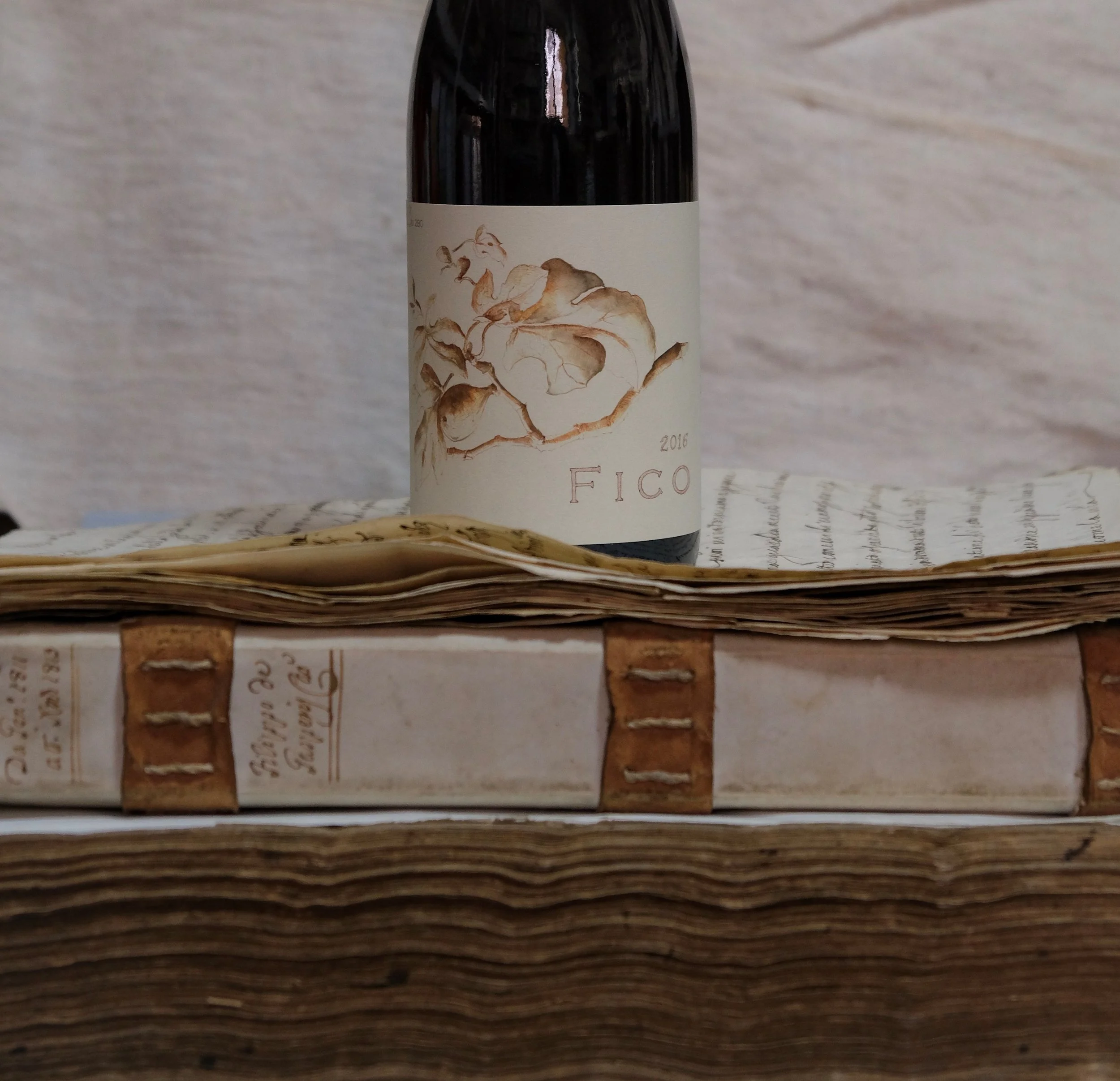 Ancora in archivio.jpg