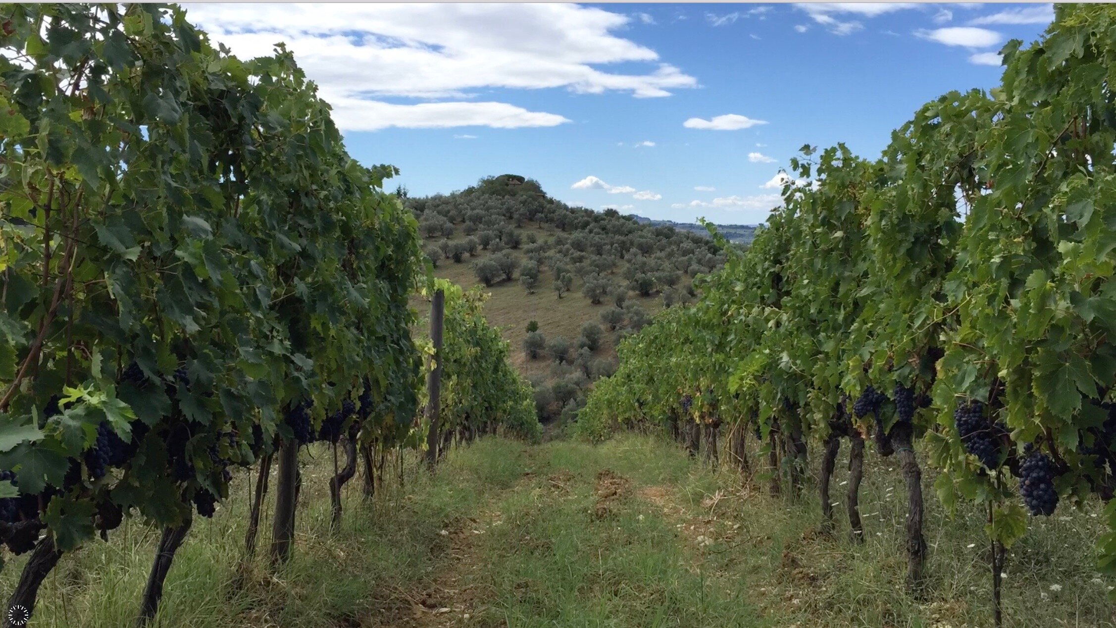 Screen Shot 2016-10-21 at 22.36.03.jpg