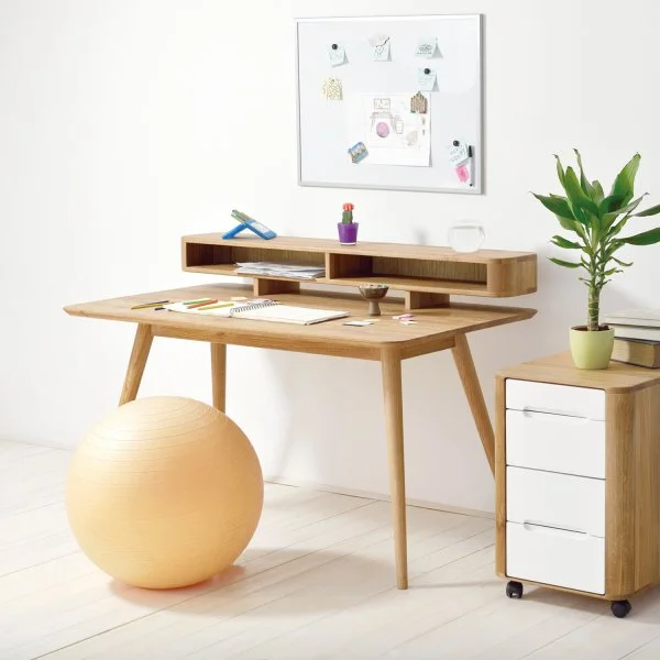 GAZZDA DESK STAFA4.jpg