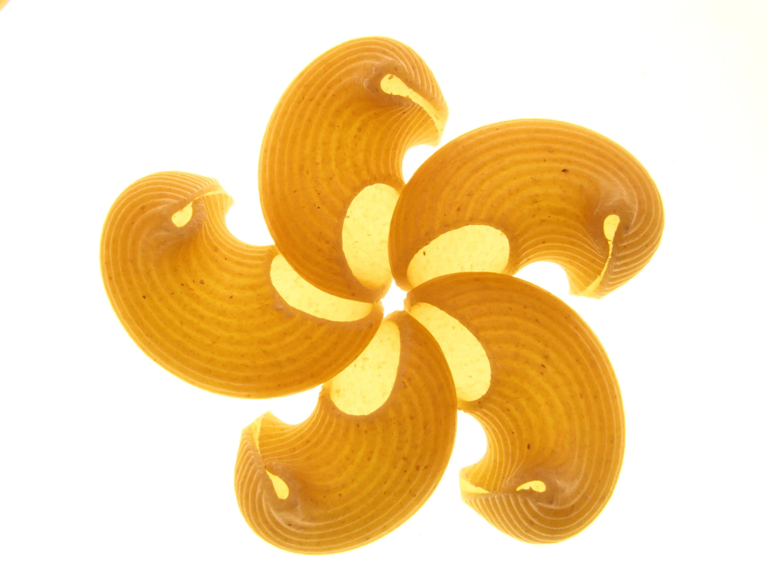 Edible wind wheel.jpg