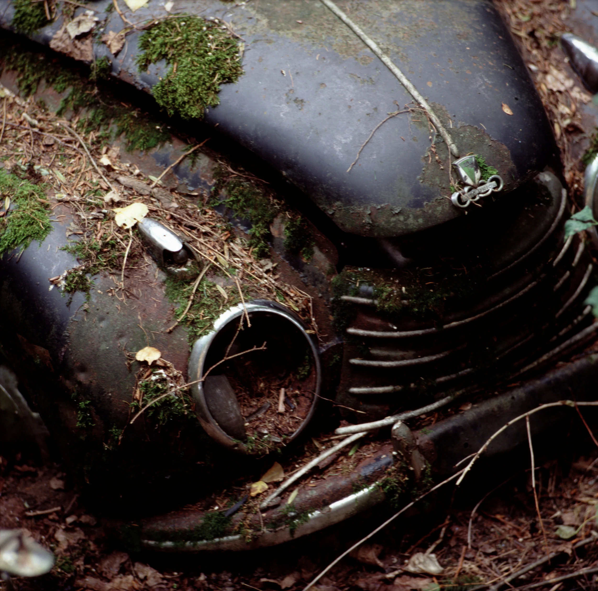 Auto Union.jpg