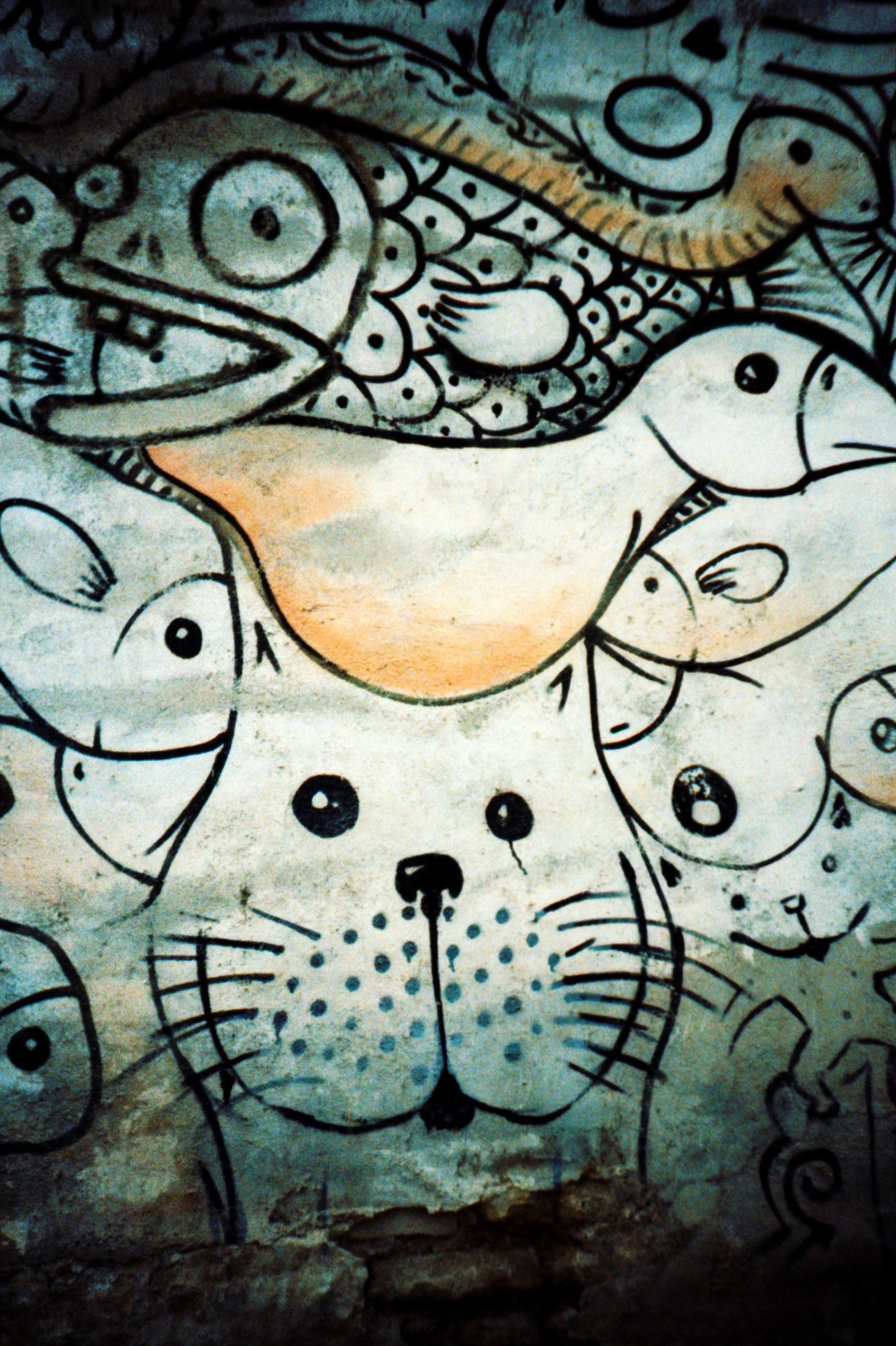 Animals in the city.jpg