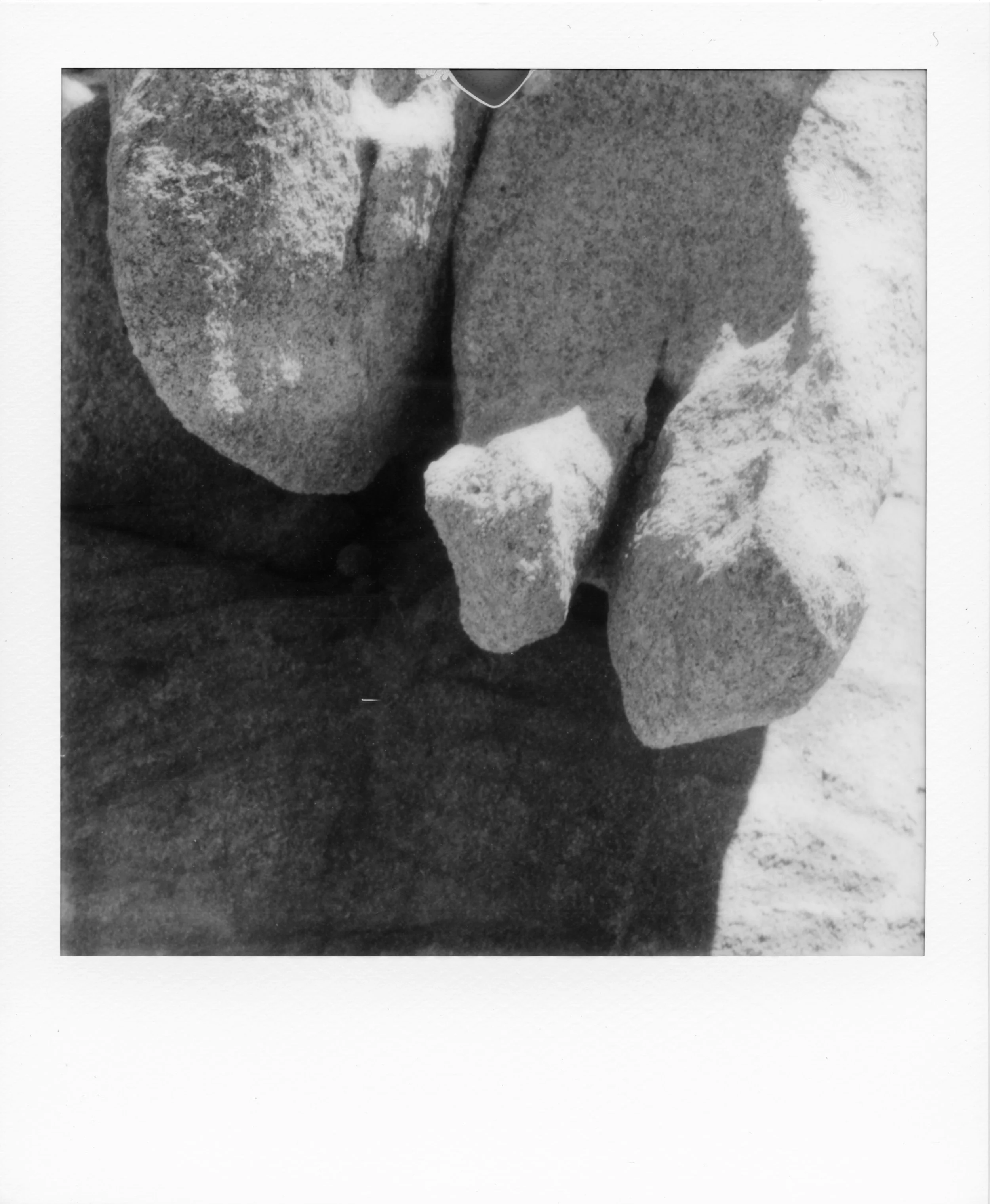 PolaB05_04.1.jpg