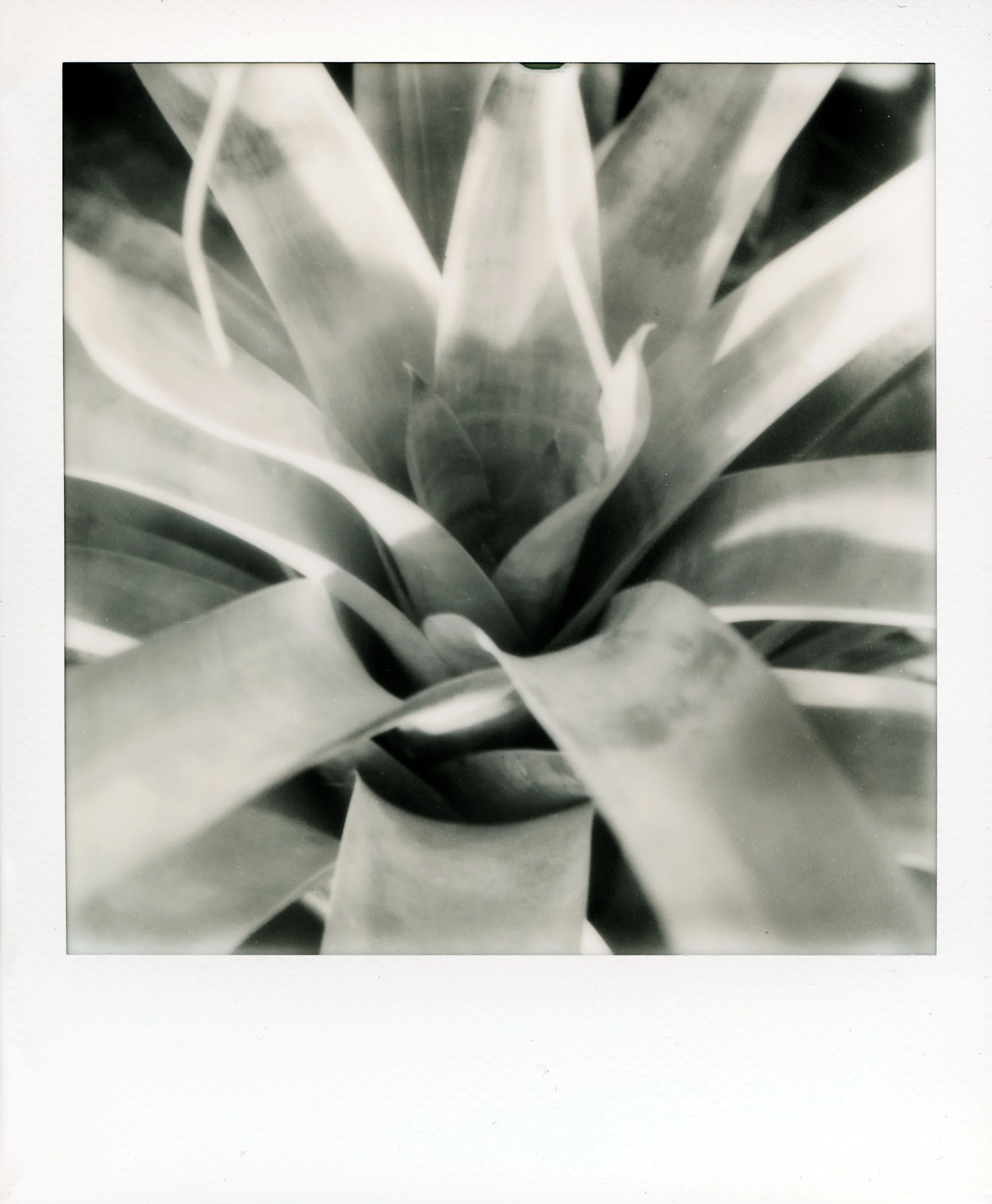 PolaB08_01 Korr.jpg