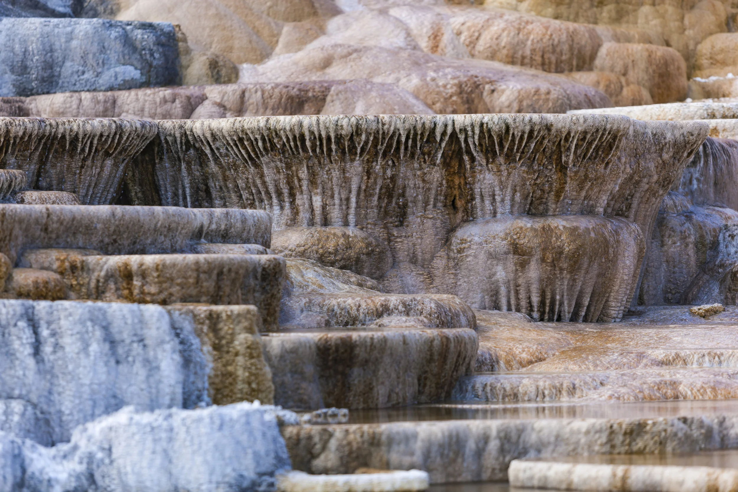 Mammoth Hot Springs