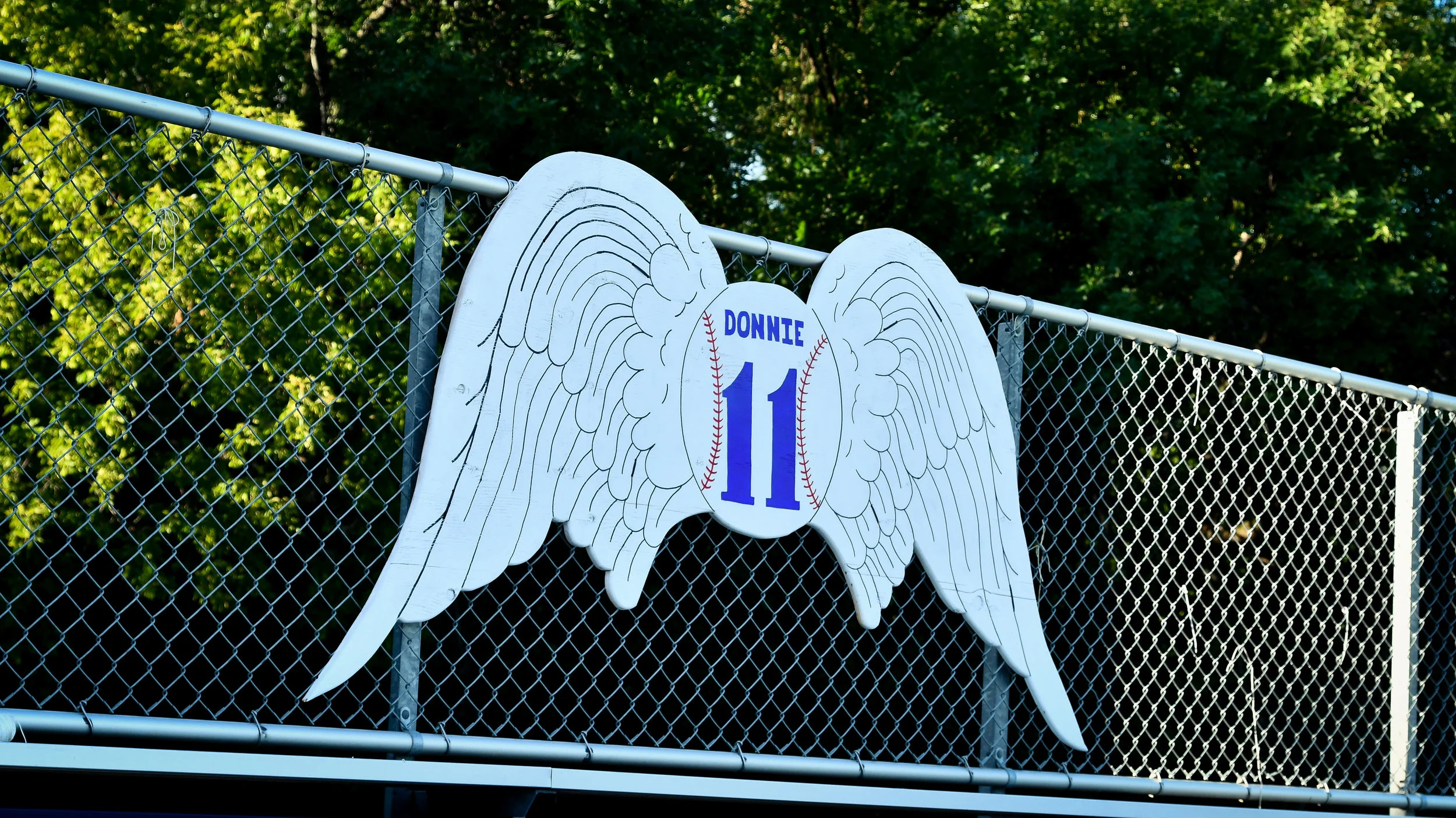 memorial for Donnie in centerfield.jpg