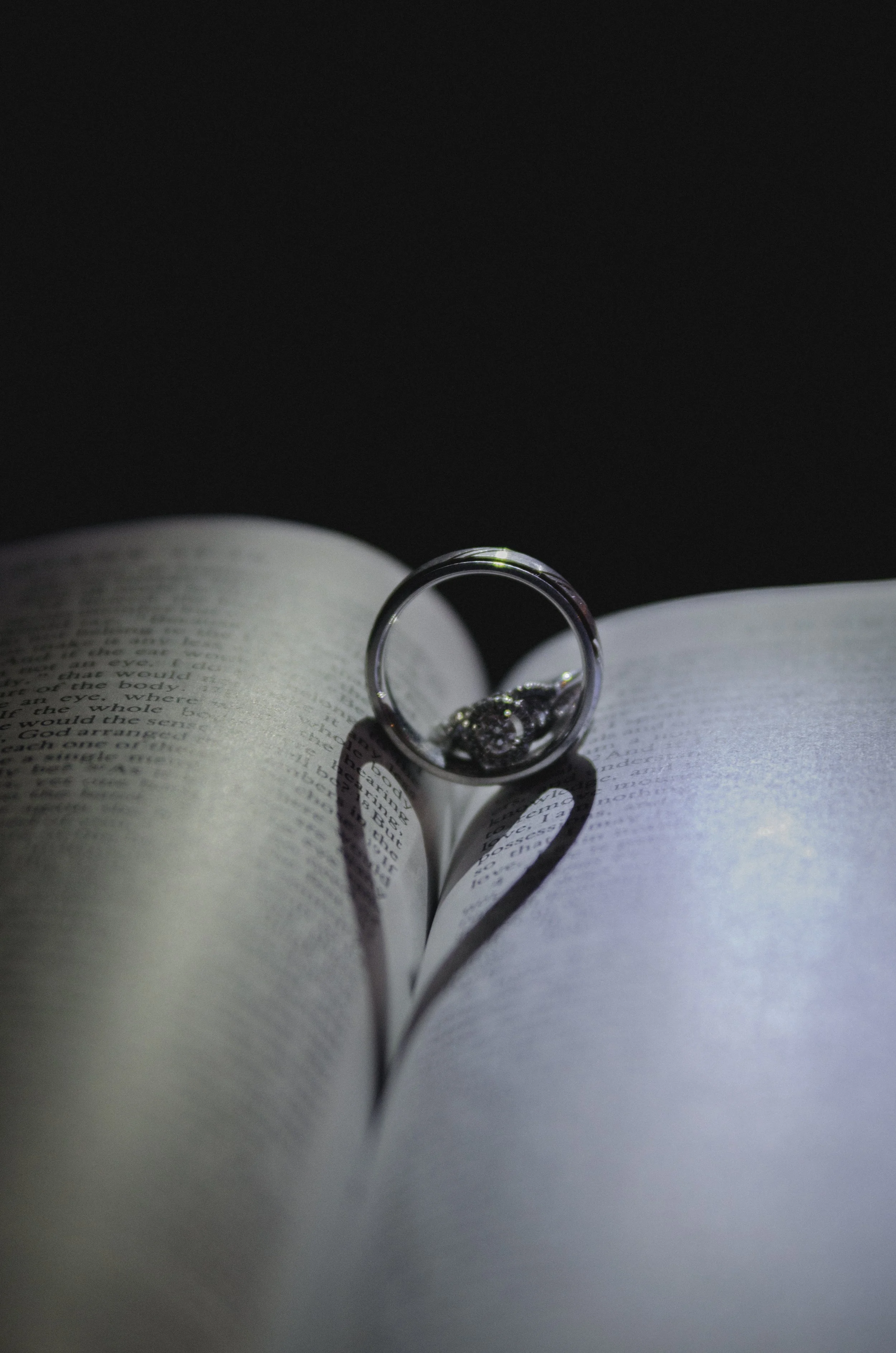 viking 2017 1b-1.JPG