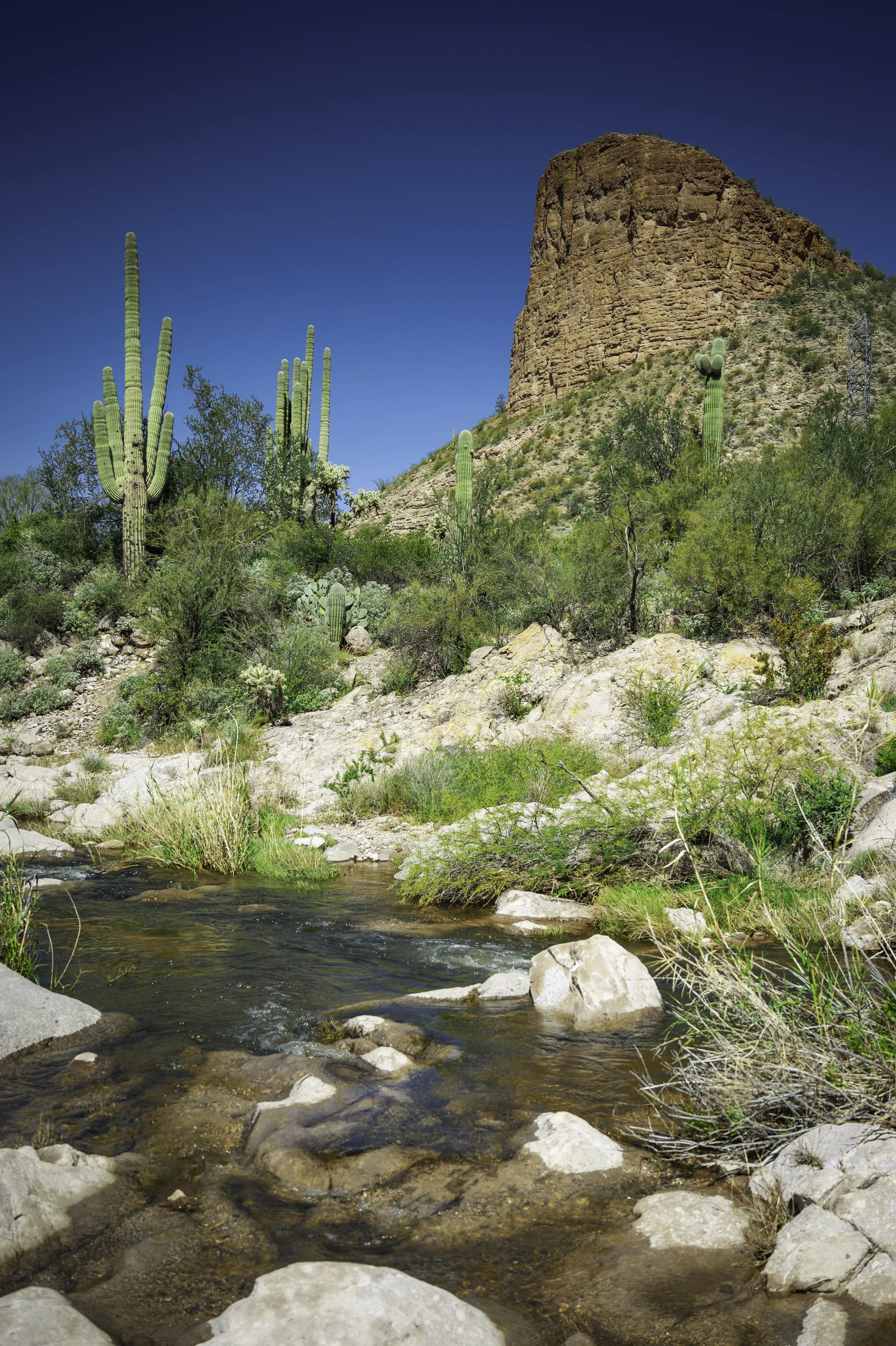 Tortilla Flats - Apache junction-9800.JPG