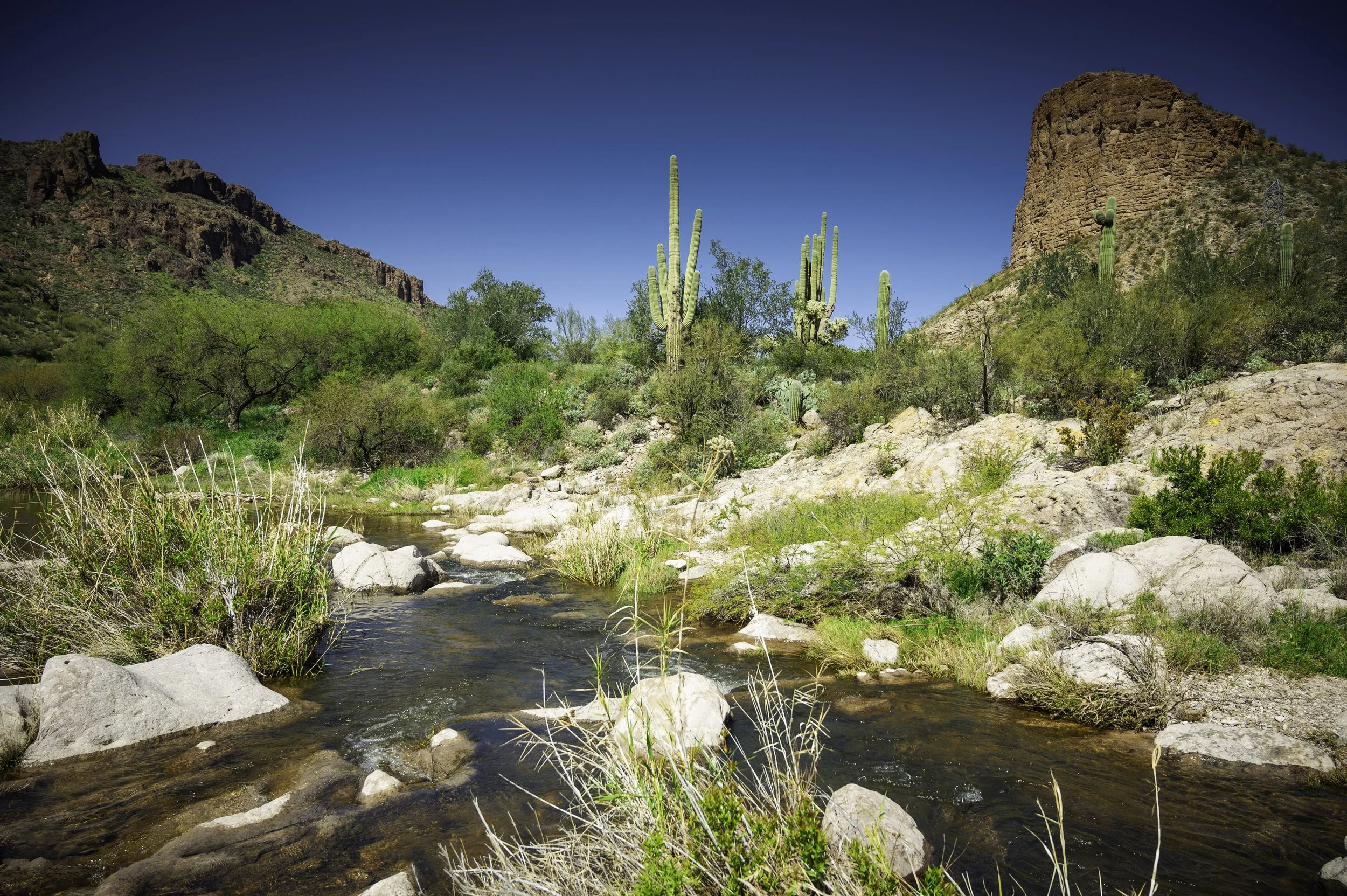 Tortilla Flats - Apache junction-9802.JPG