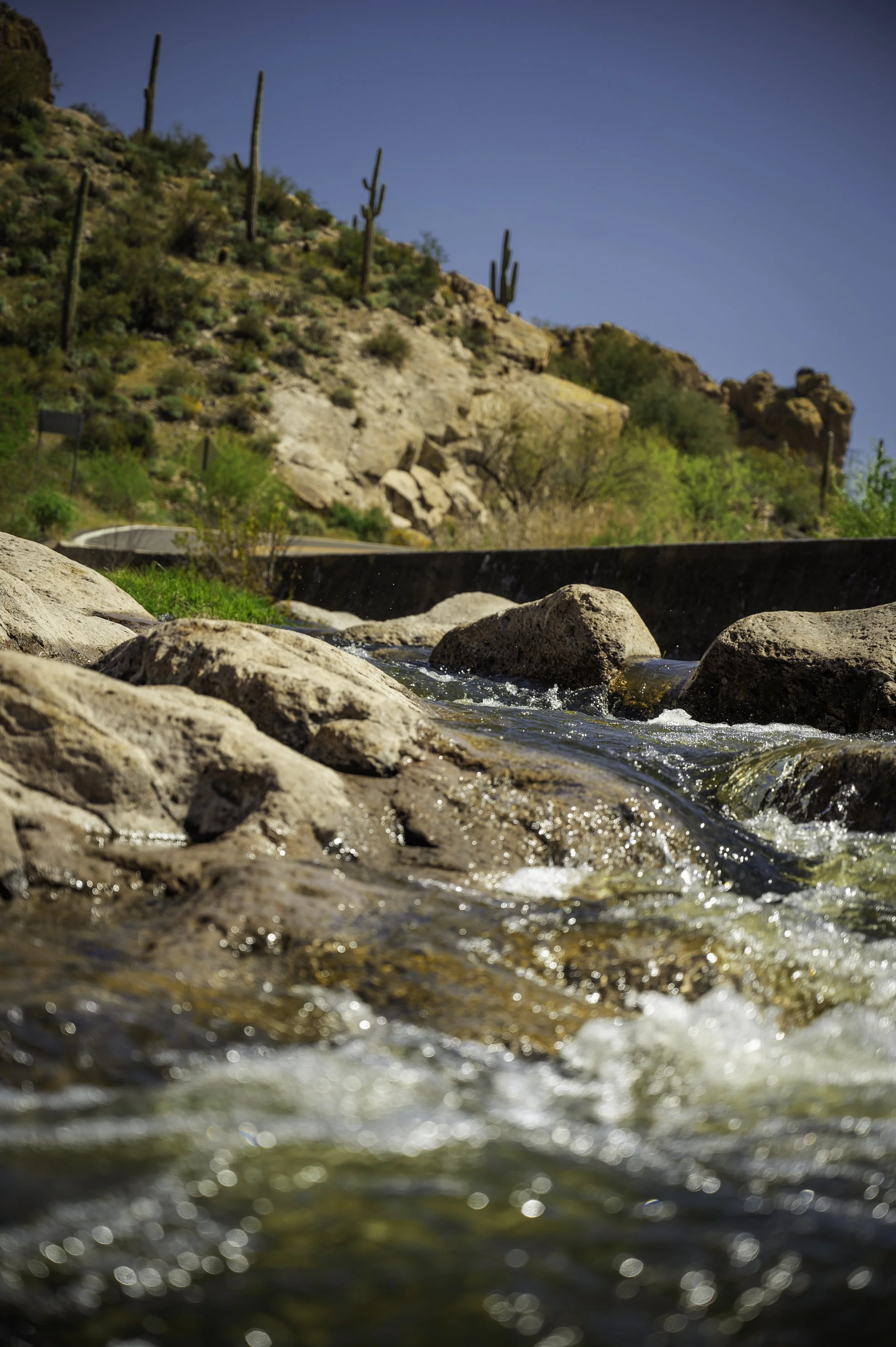 Tortilla Flats - Apache junction-9801.JPG