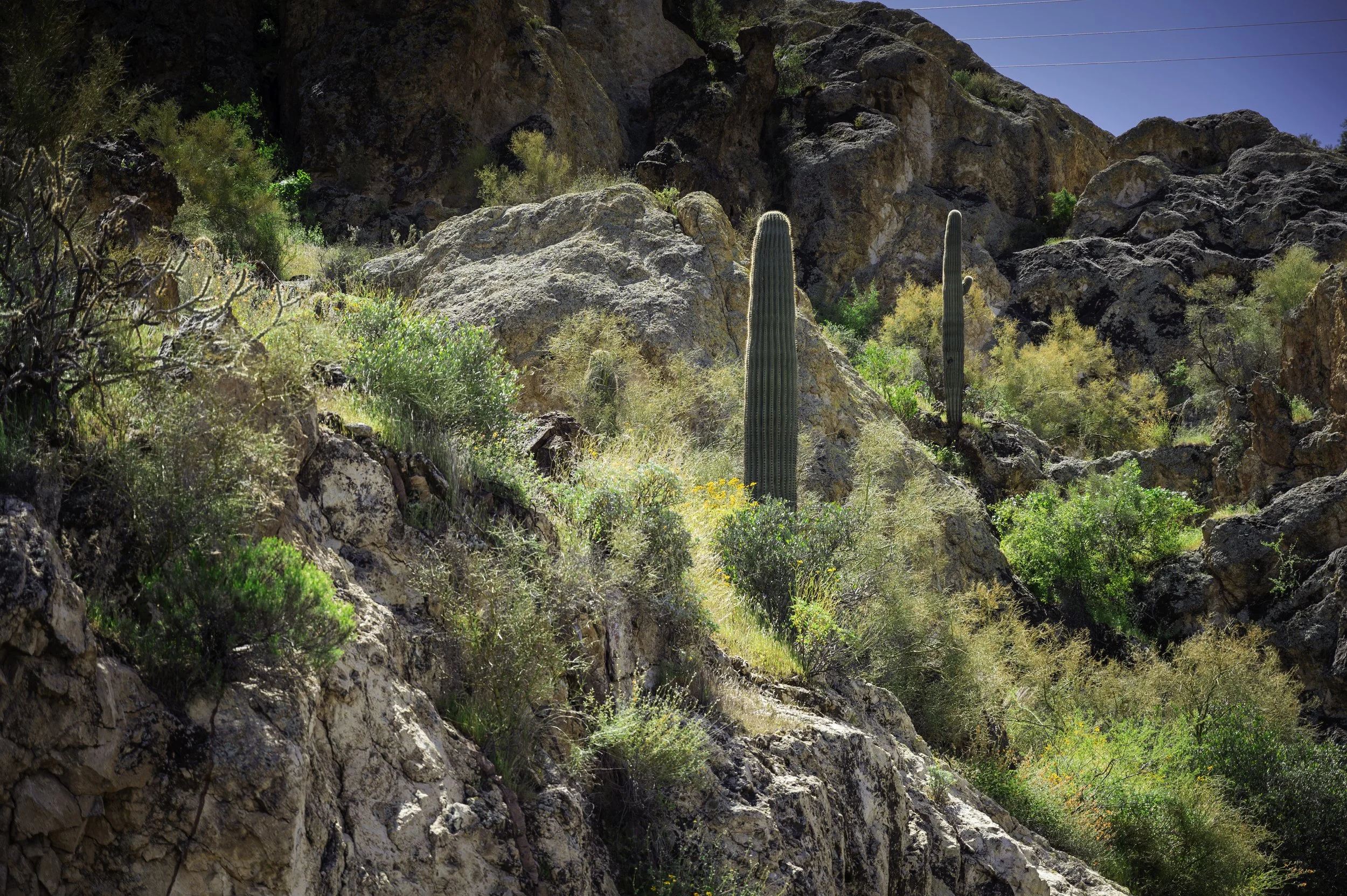 Tortilla Flats - Apache junction-9808.JPG