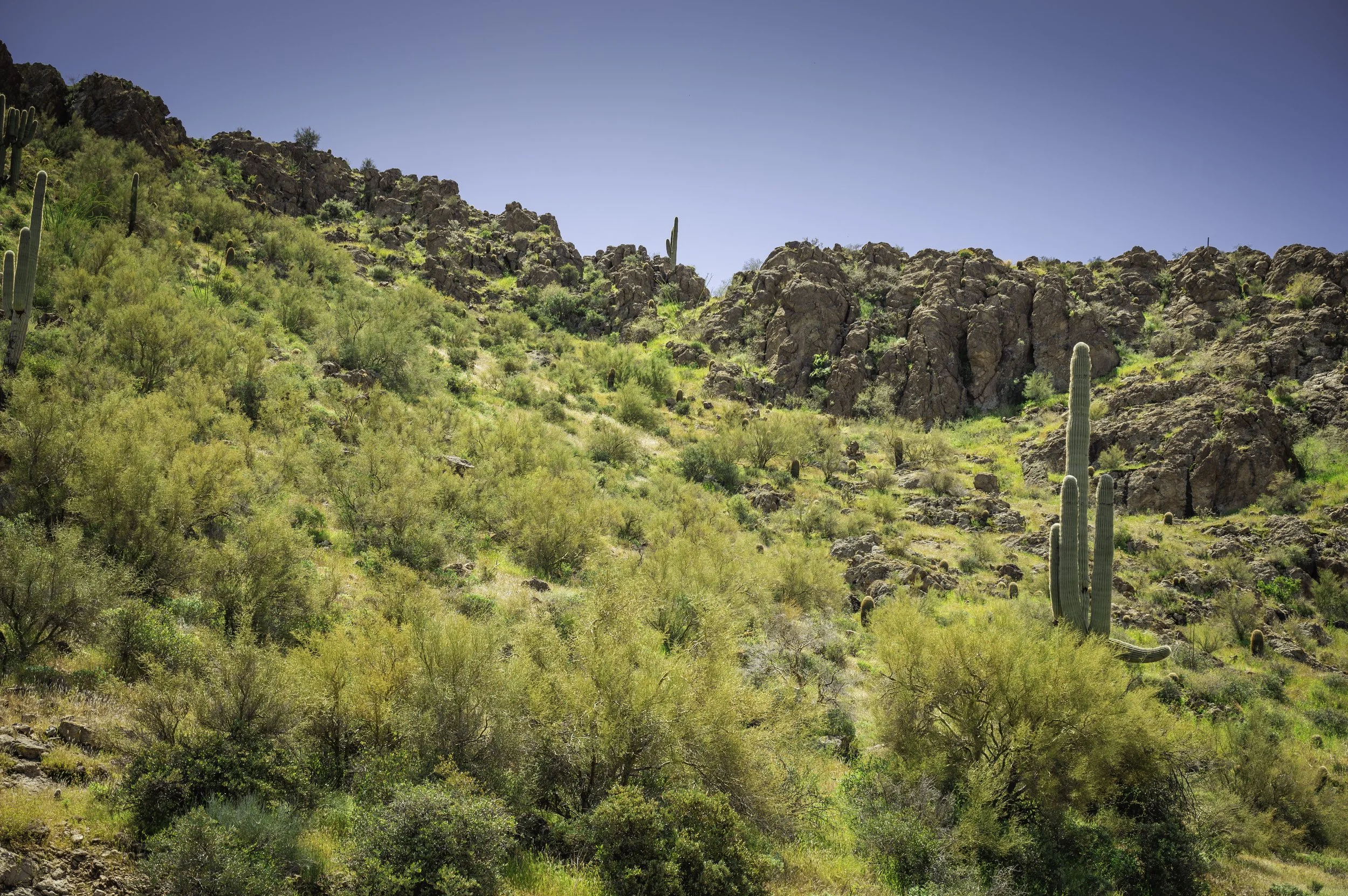 Tortilla Flats - Apache junction-9818.JPG