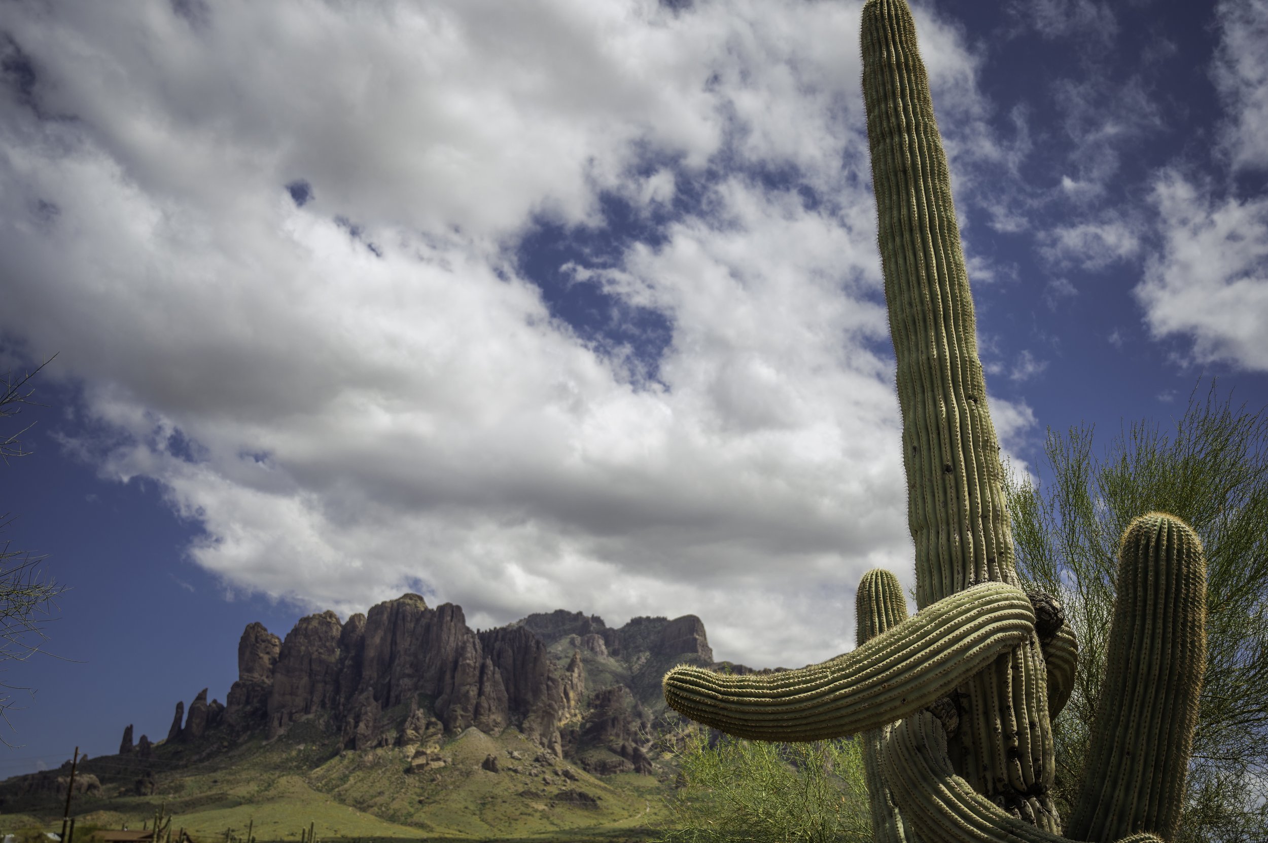 Tortilla Flats - Apache junction-9839.JPG