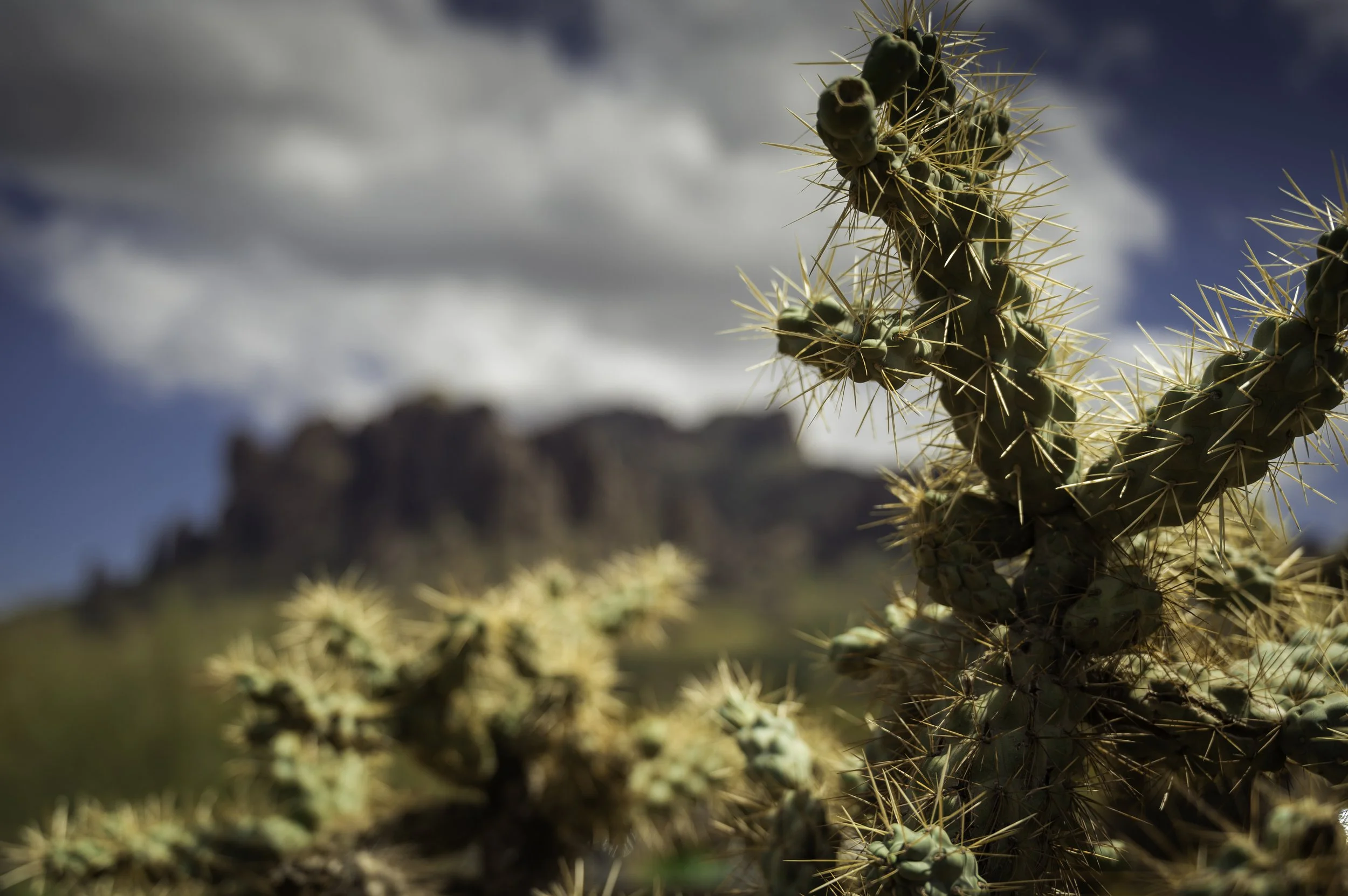 Tortilla Flats - Apache junction-9840.JPG