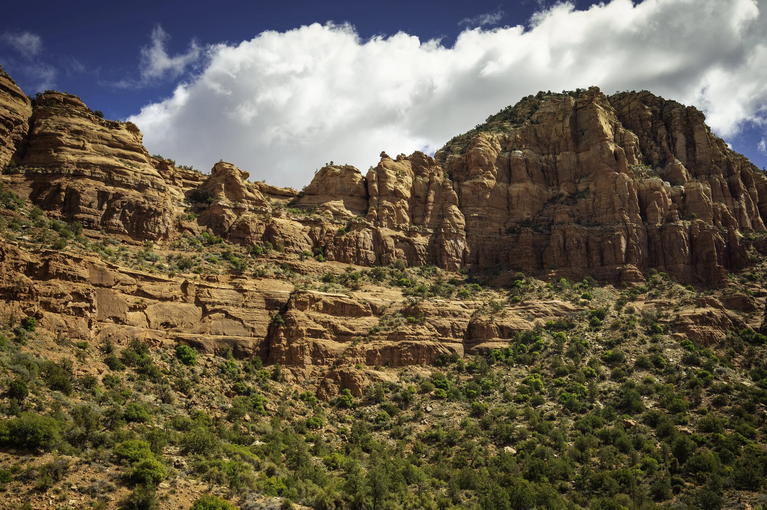 Sedona-9843.JPG