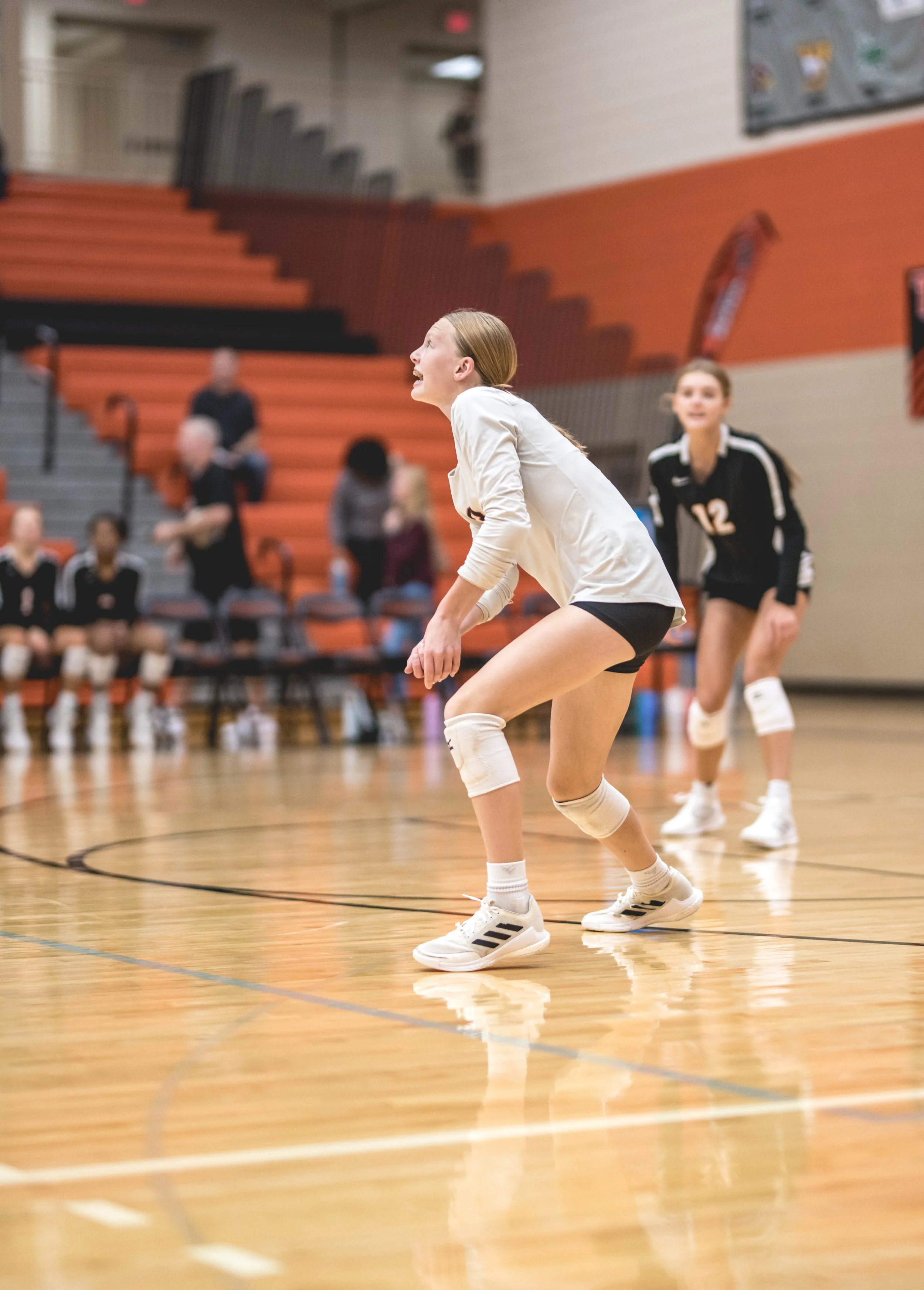 Tigers vs Alex (284).JPG