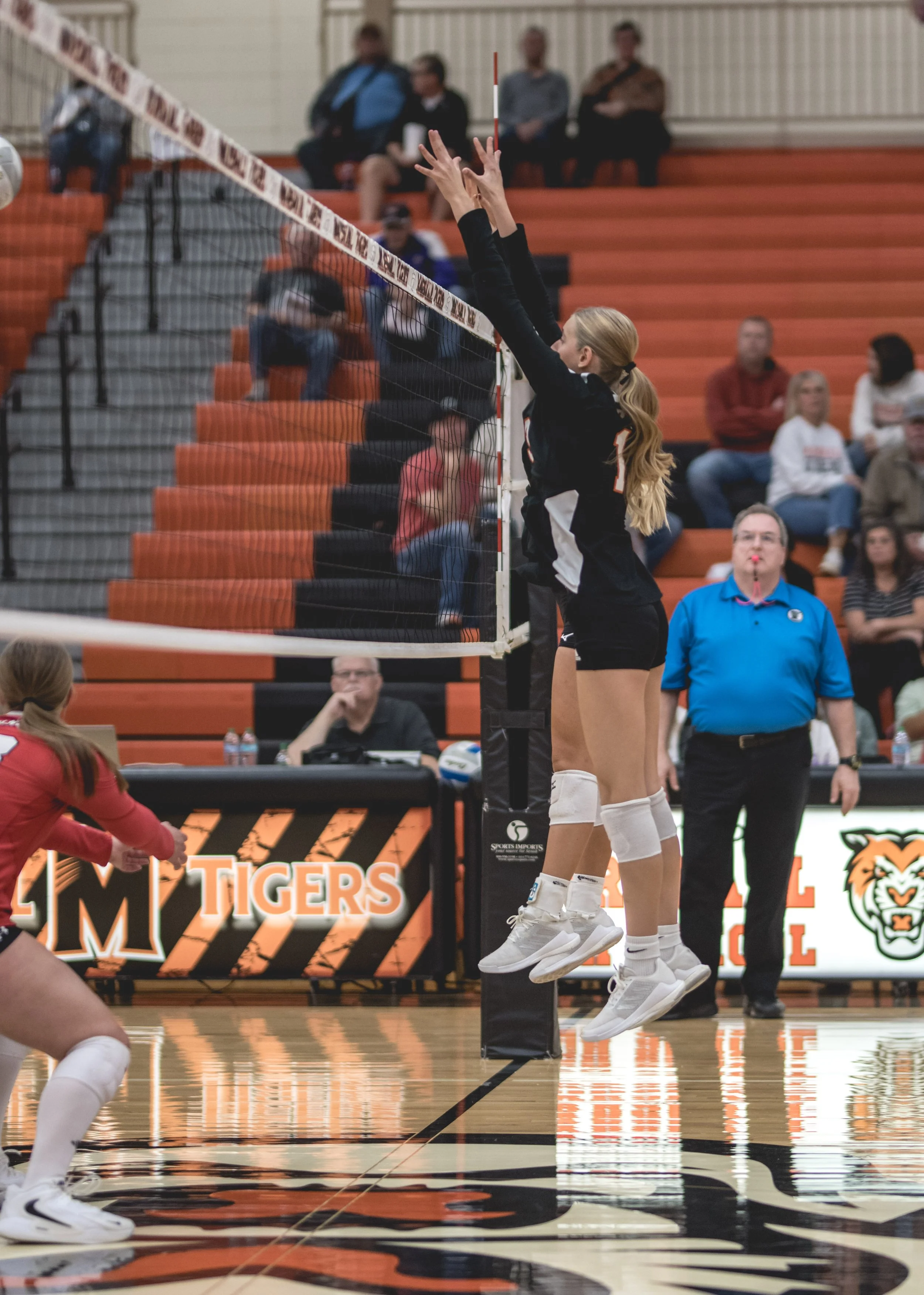 Tigers vs Alex (326).JPG