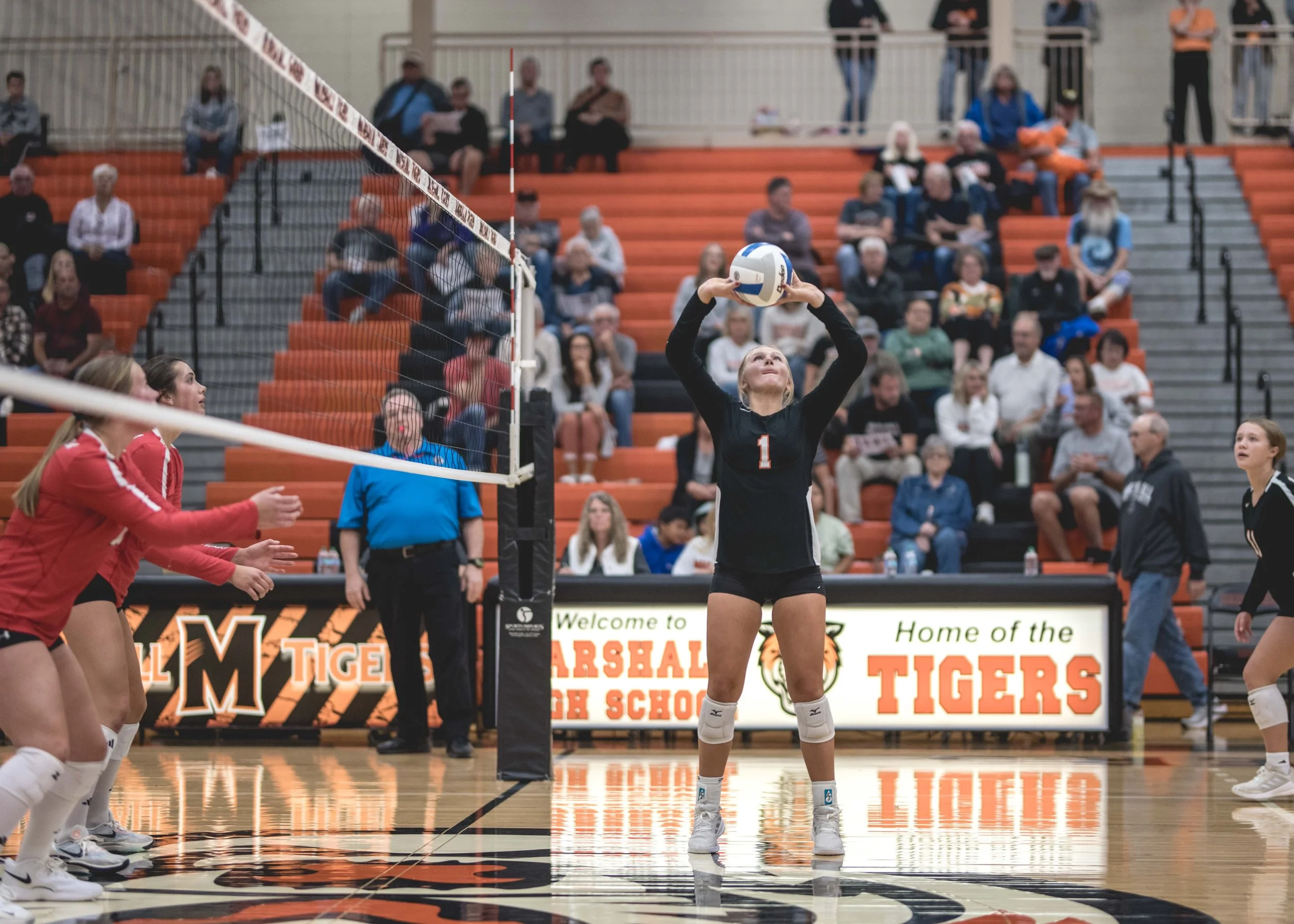 Tigers vs Alex (444).JPG