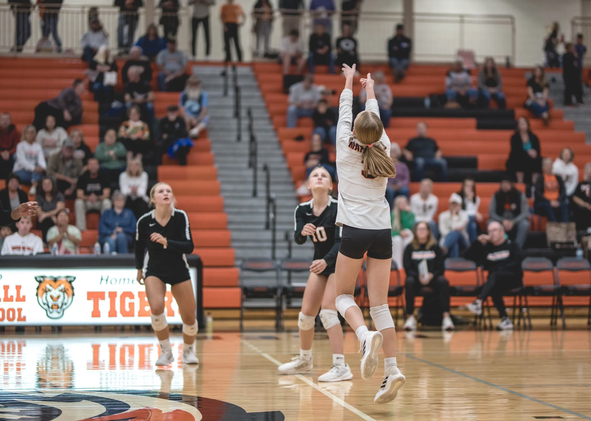 Tigers vs Alex (425).JPG