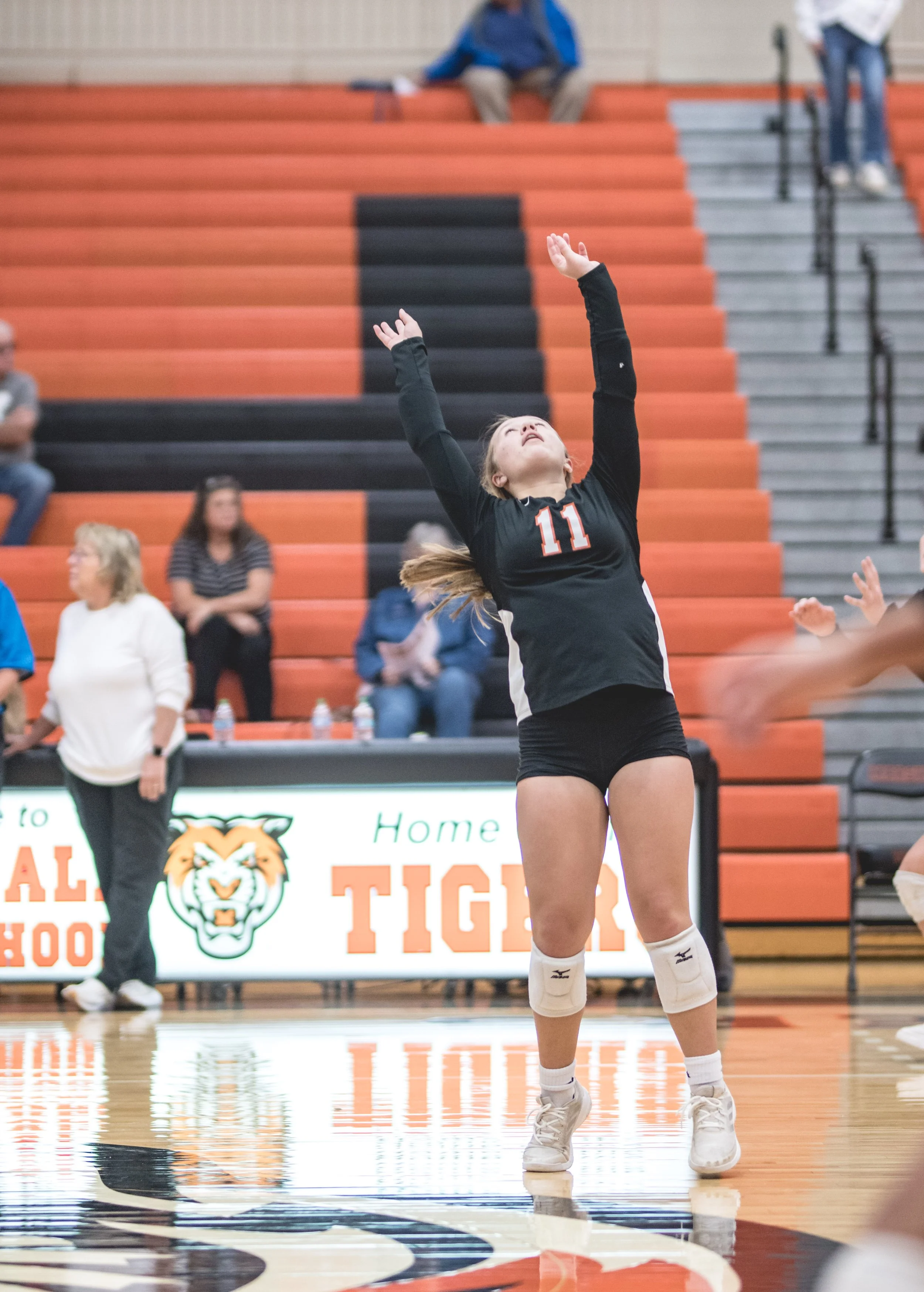 Tigers vs Alex (278).JPG