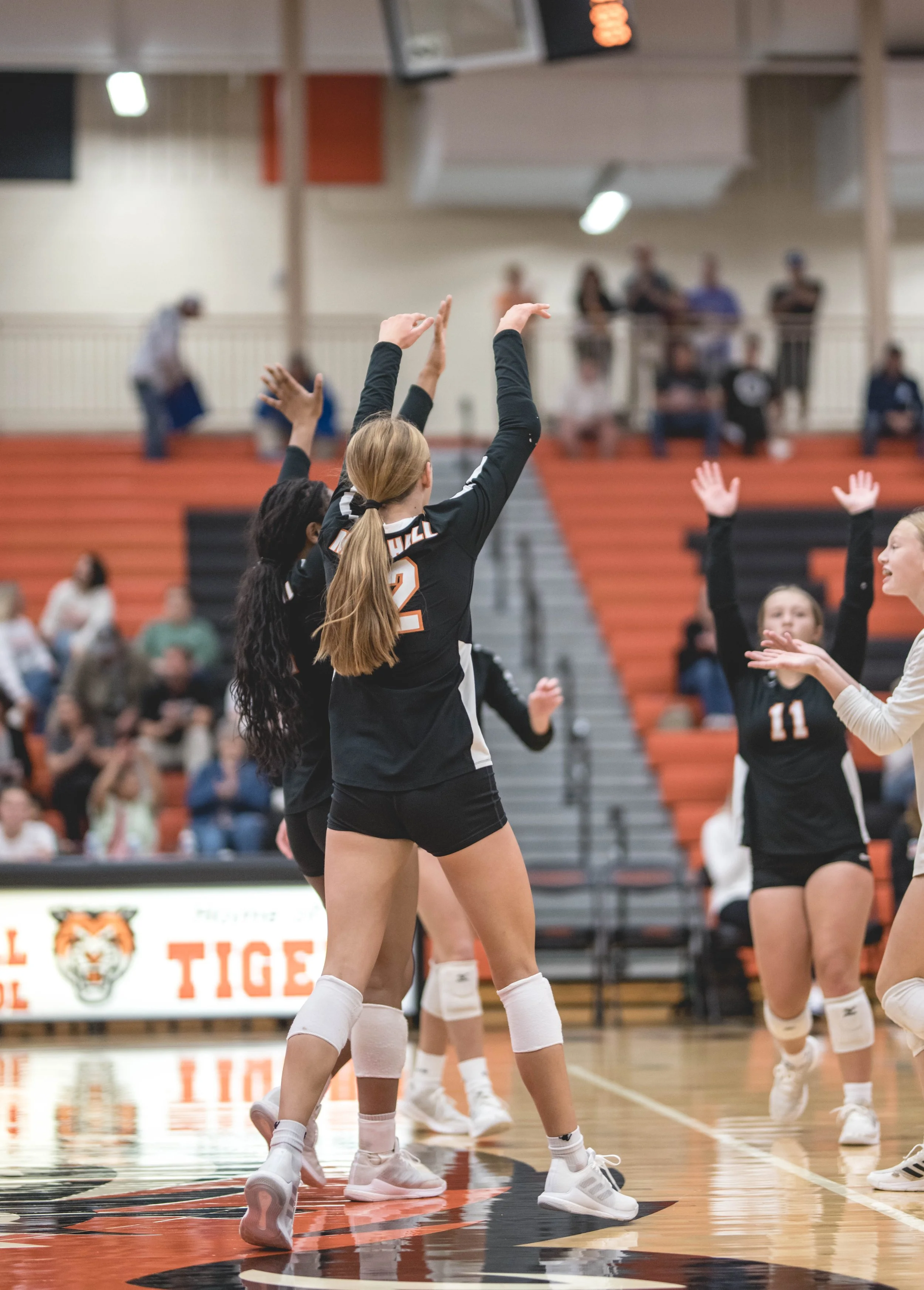 Tigers vs Alex (306).JPG