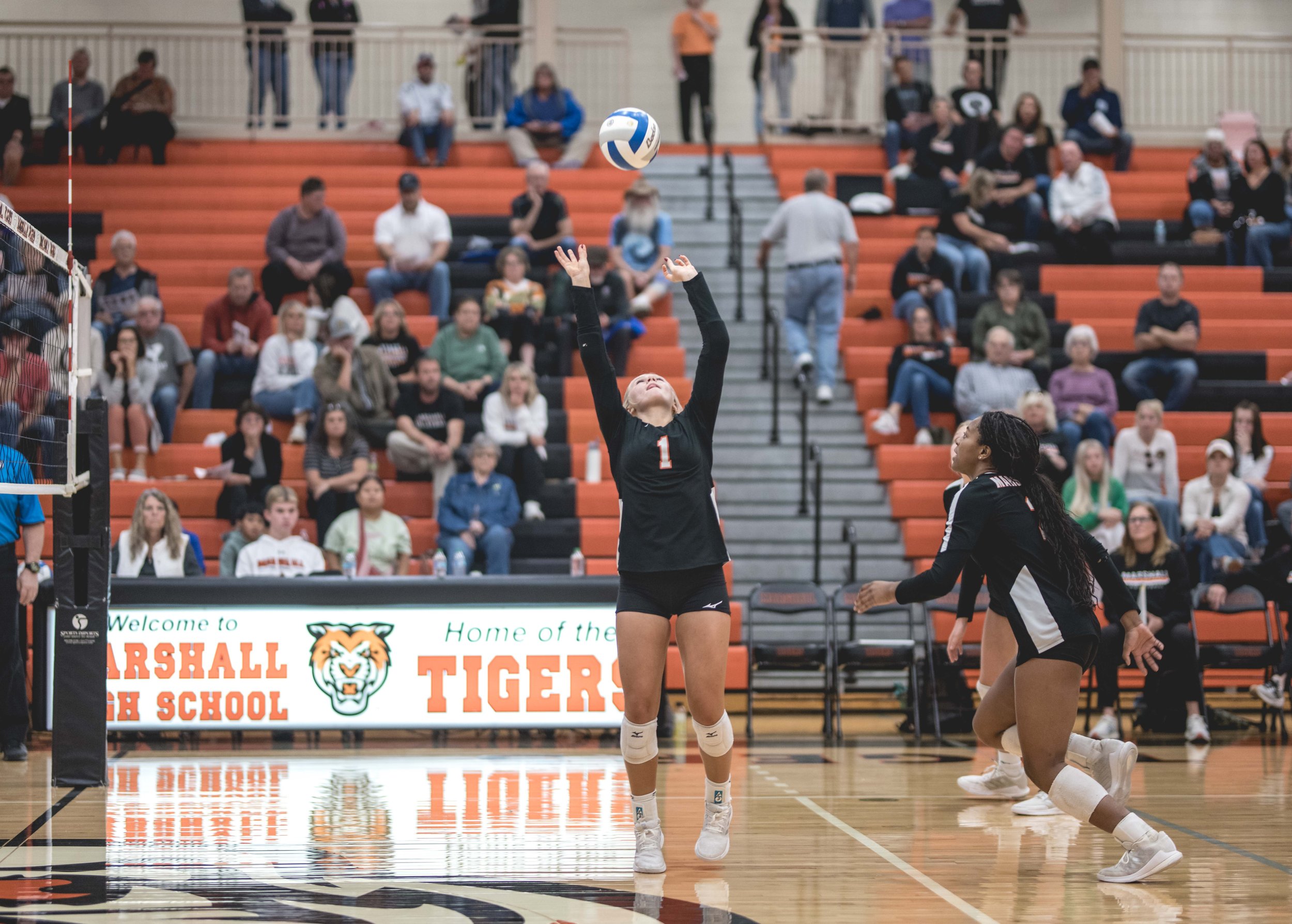 Tigers vs Alex (378).JPG