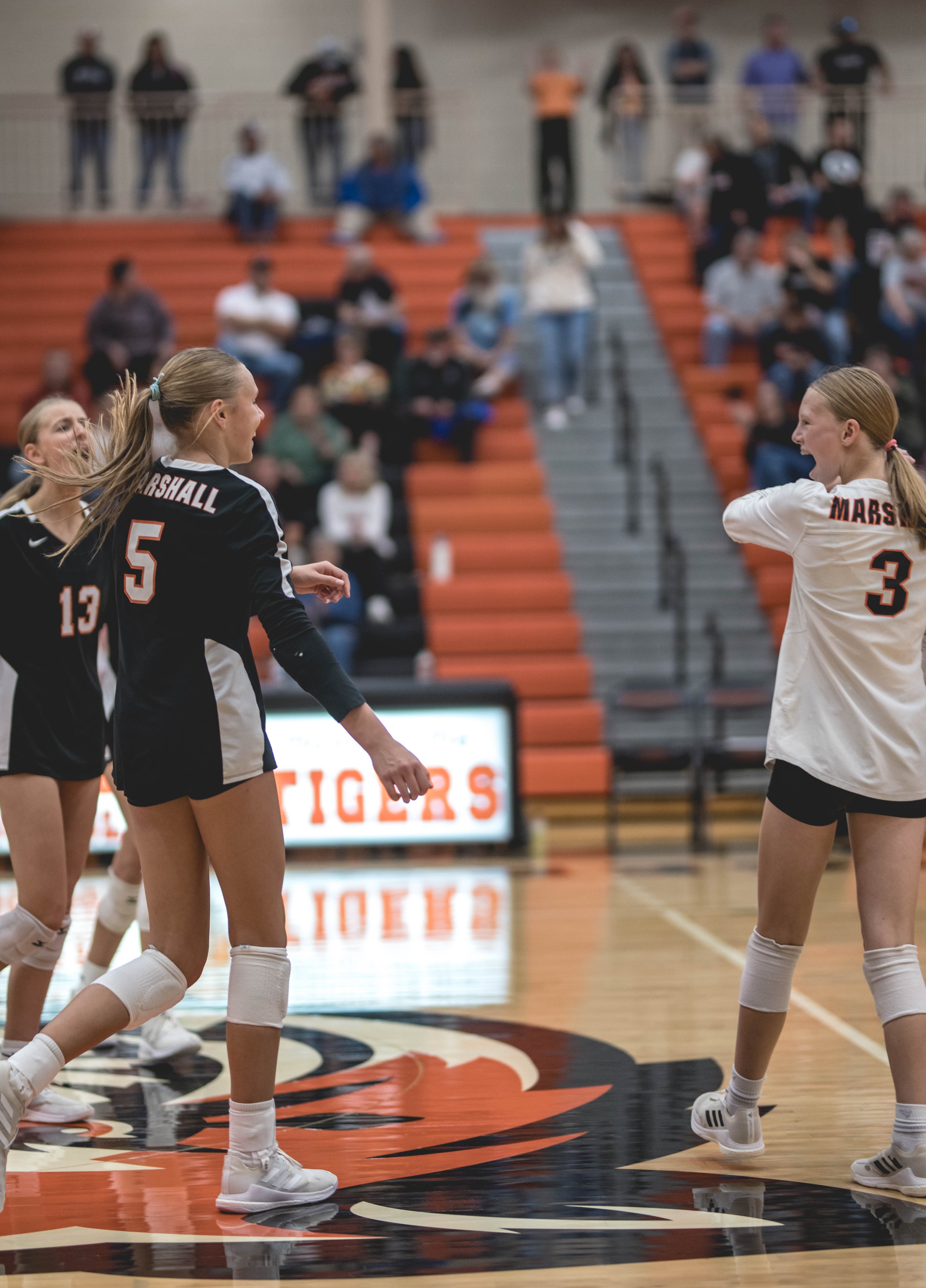 Tigers vs Alex (397).JPG