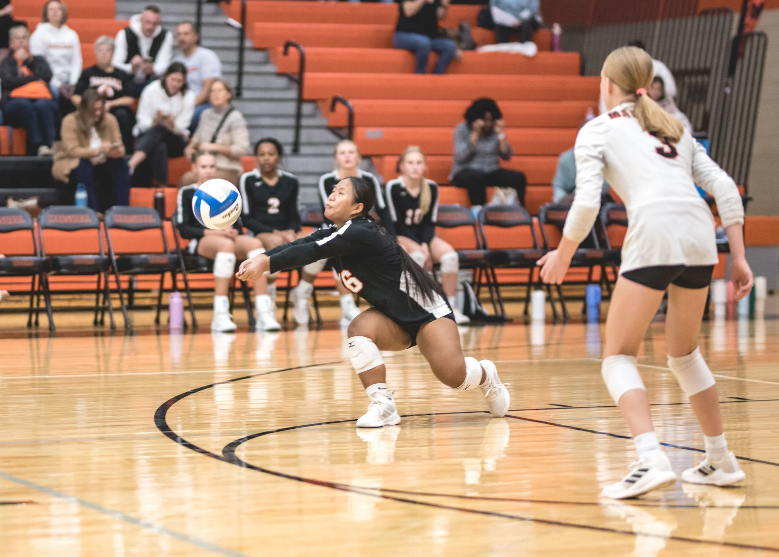 Tigers vs Alex (401).JPG