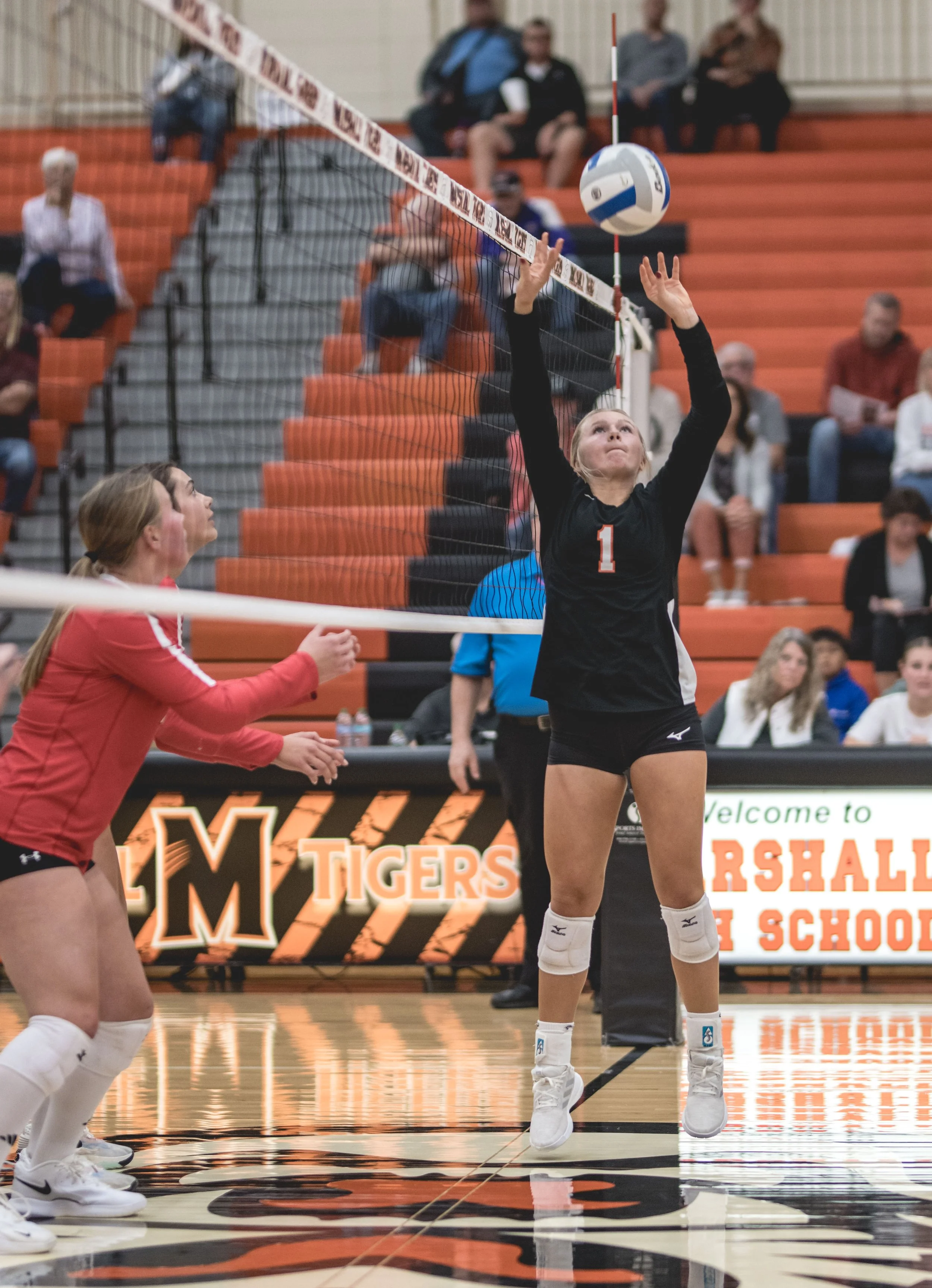 Tigers vs Alex (313).JPG