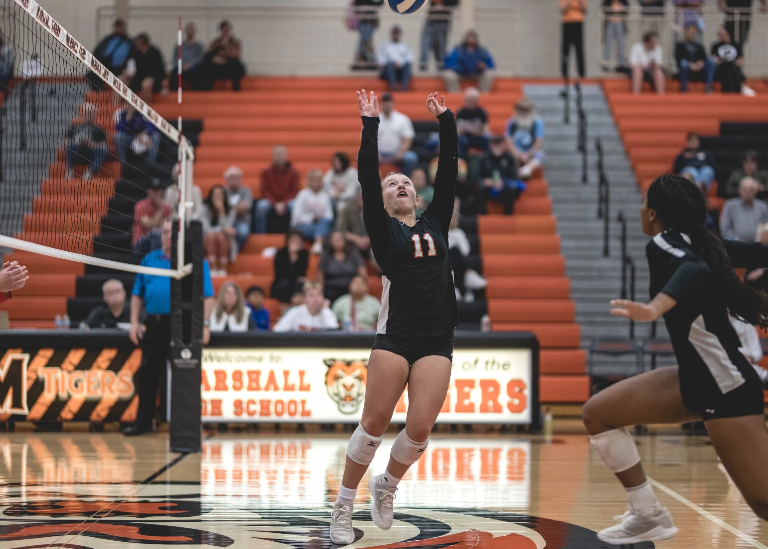 Tigers vs Alex (355).JPG