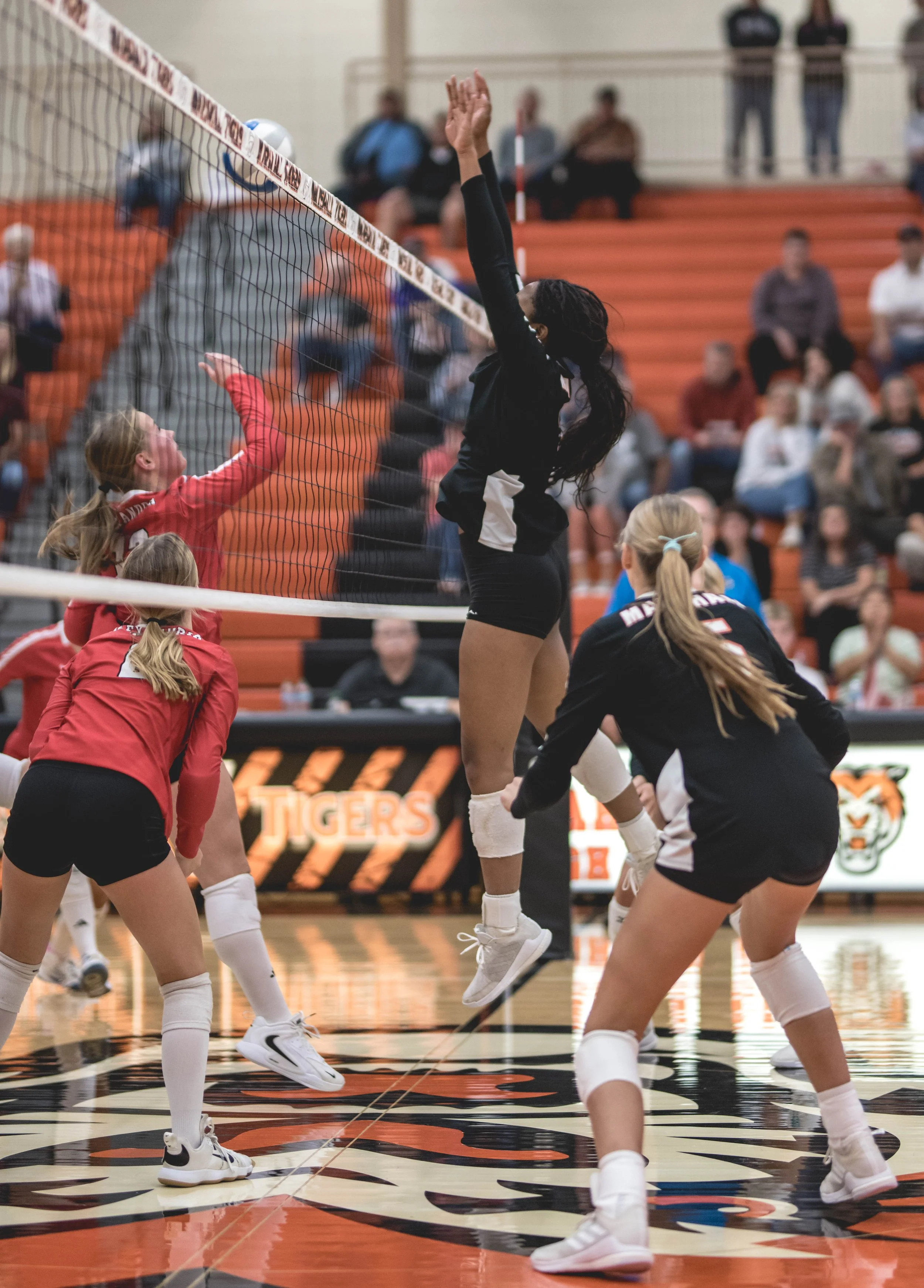 Tigers vs Alex (380).JPG