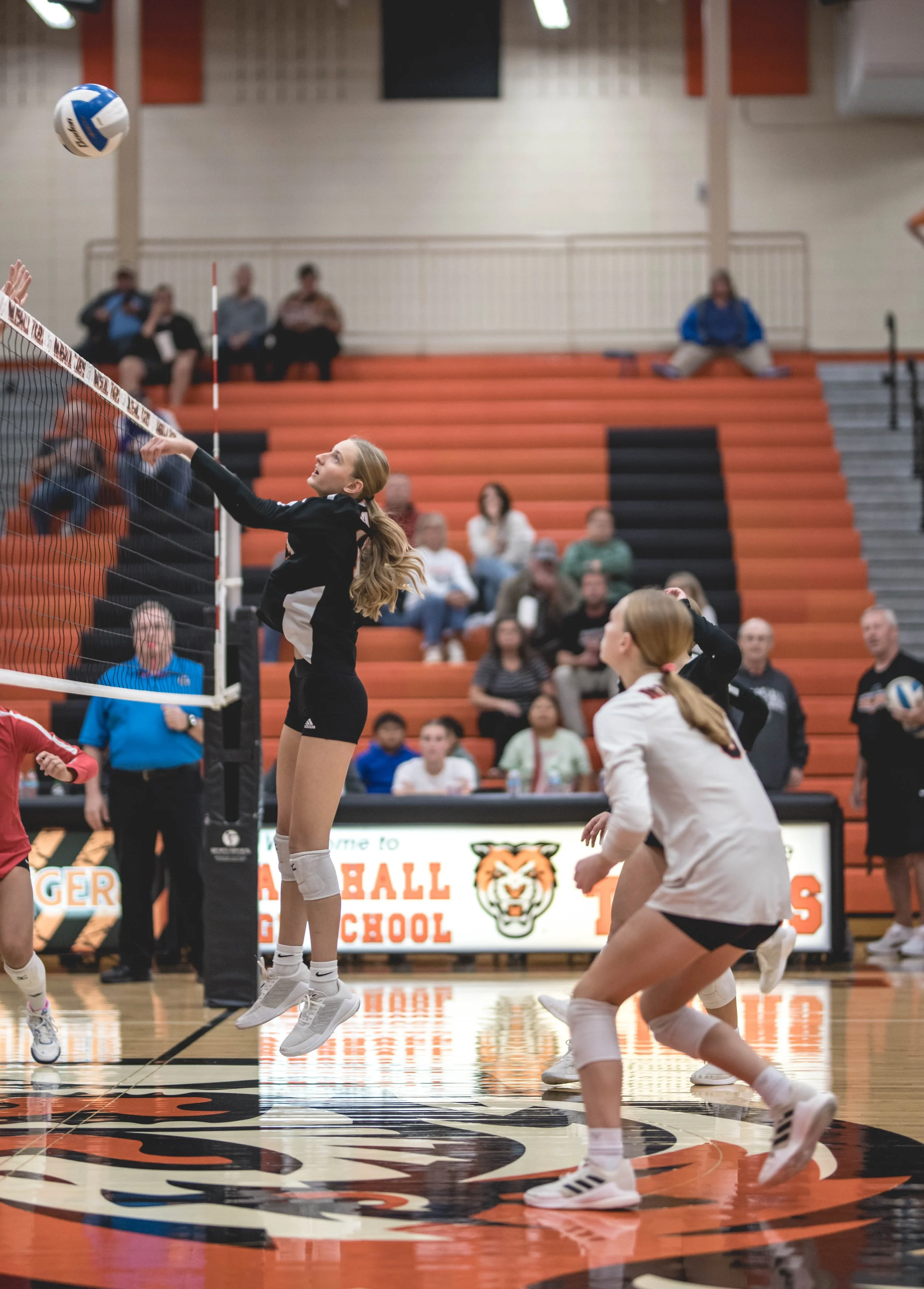 Tigers vs Alex (294).JPG