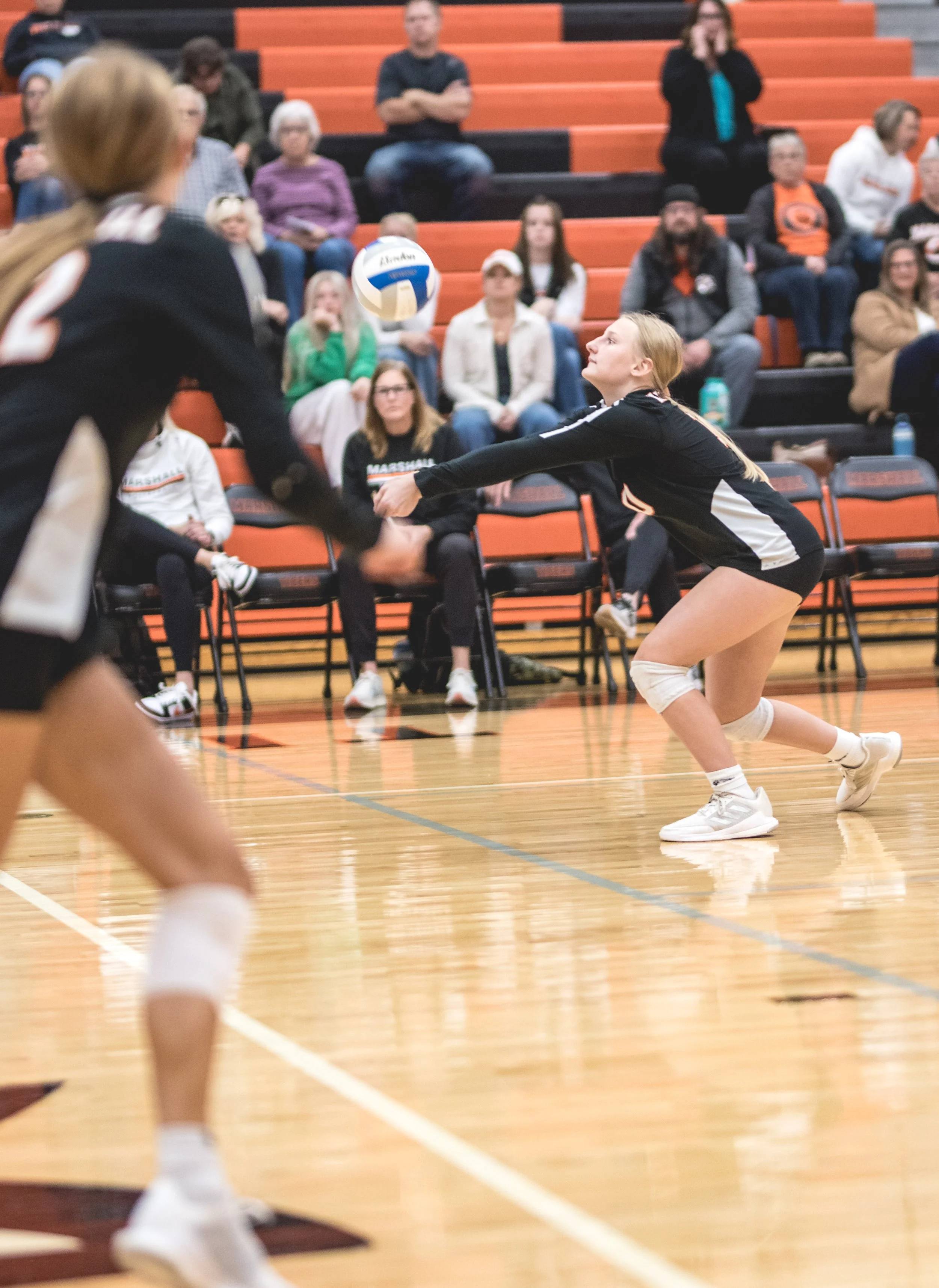 Tigers vs Alex (361).JPG