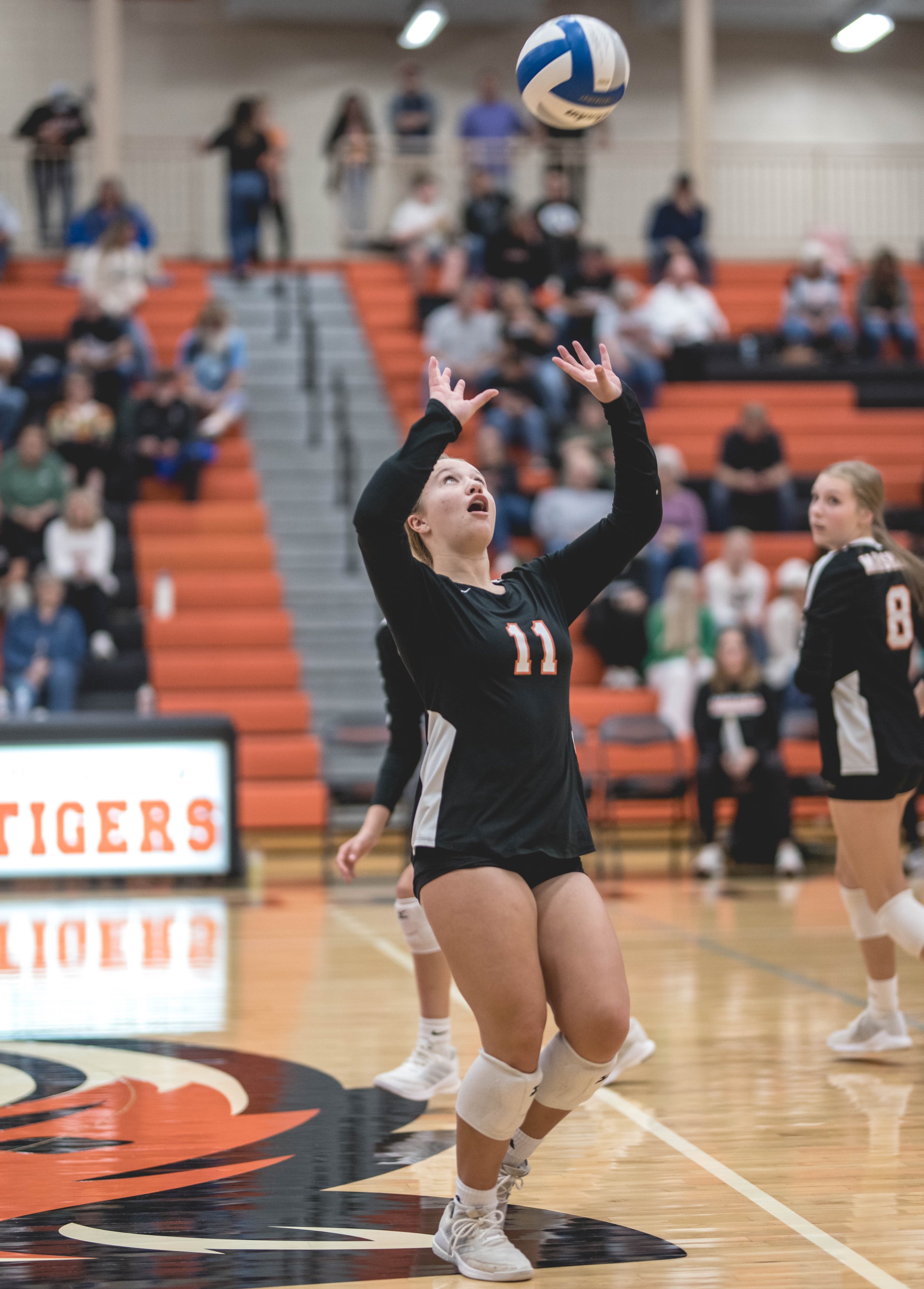 Tigers vs Alex (392).JPG