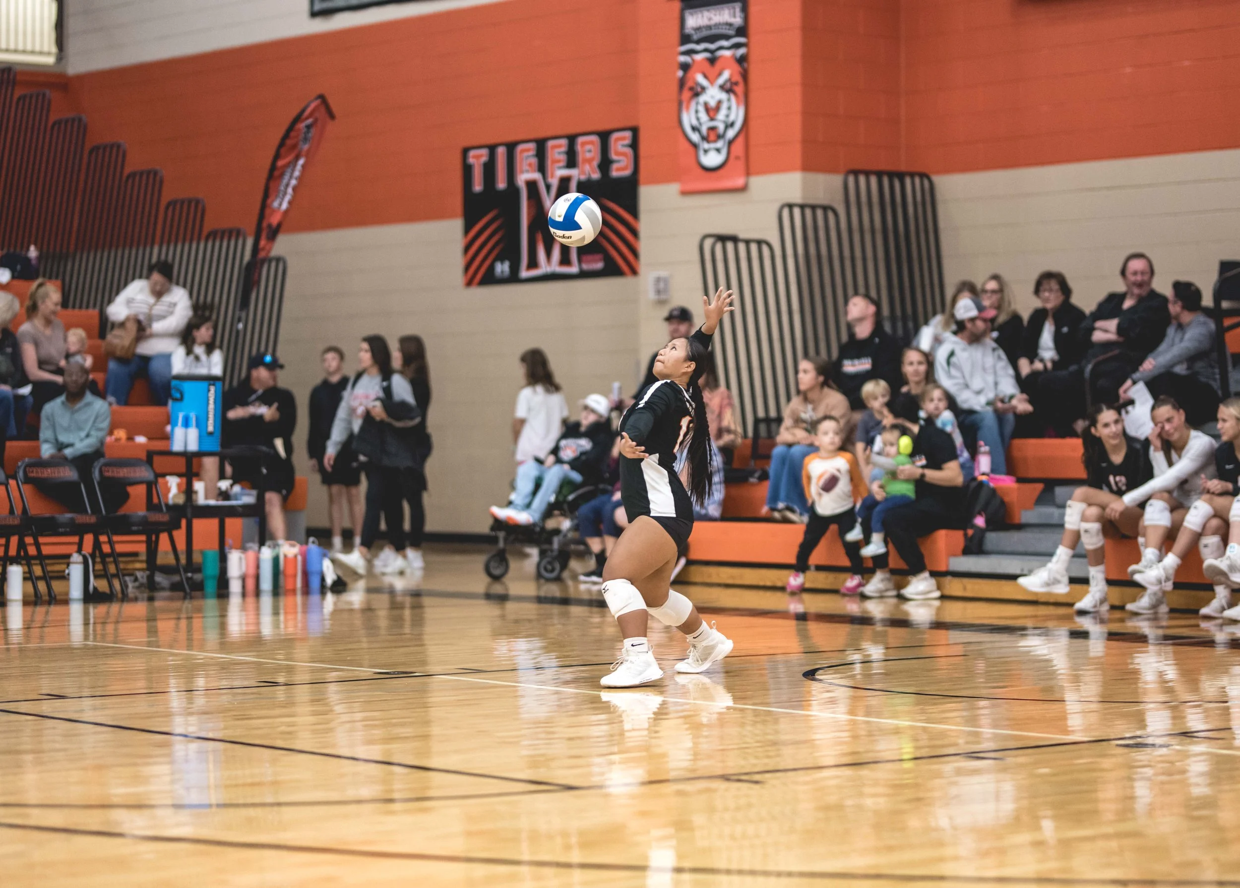 Tigers vs Alex (457).JPG