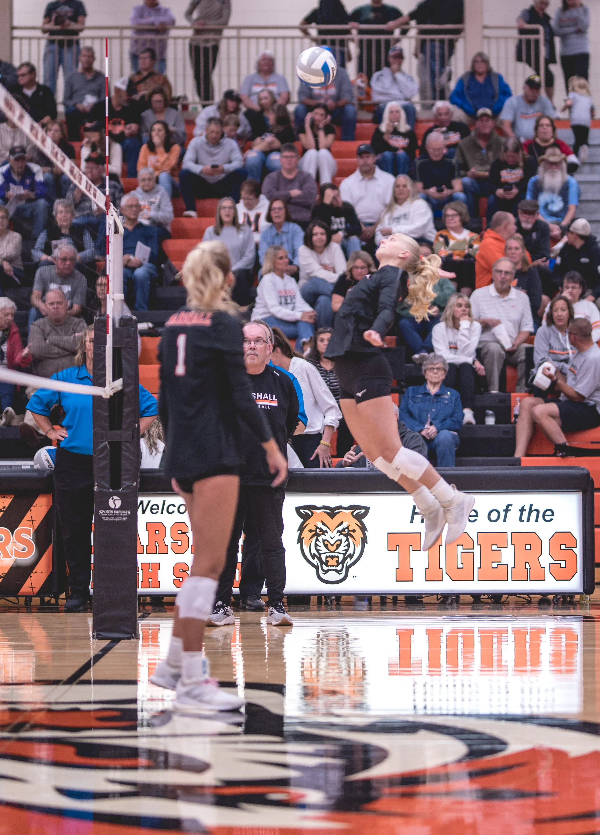 Tigers vs Alex (23).JPG