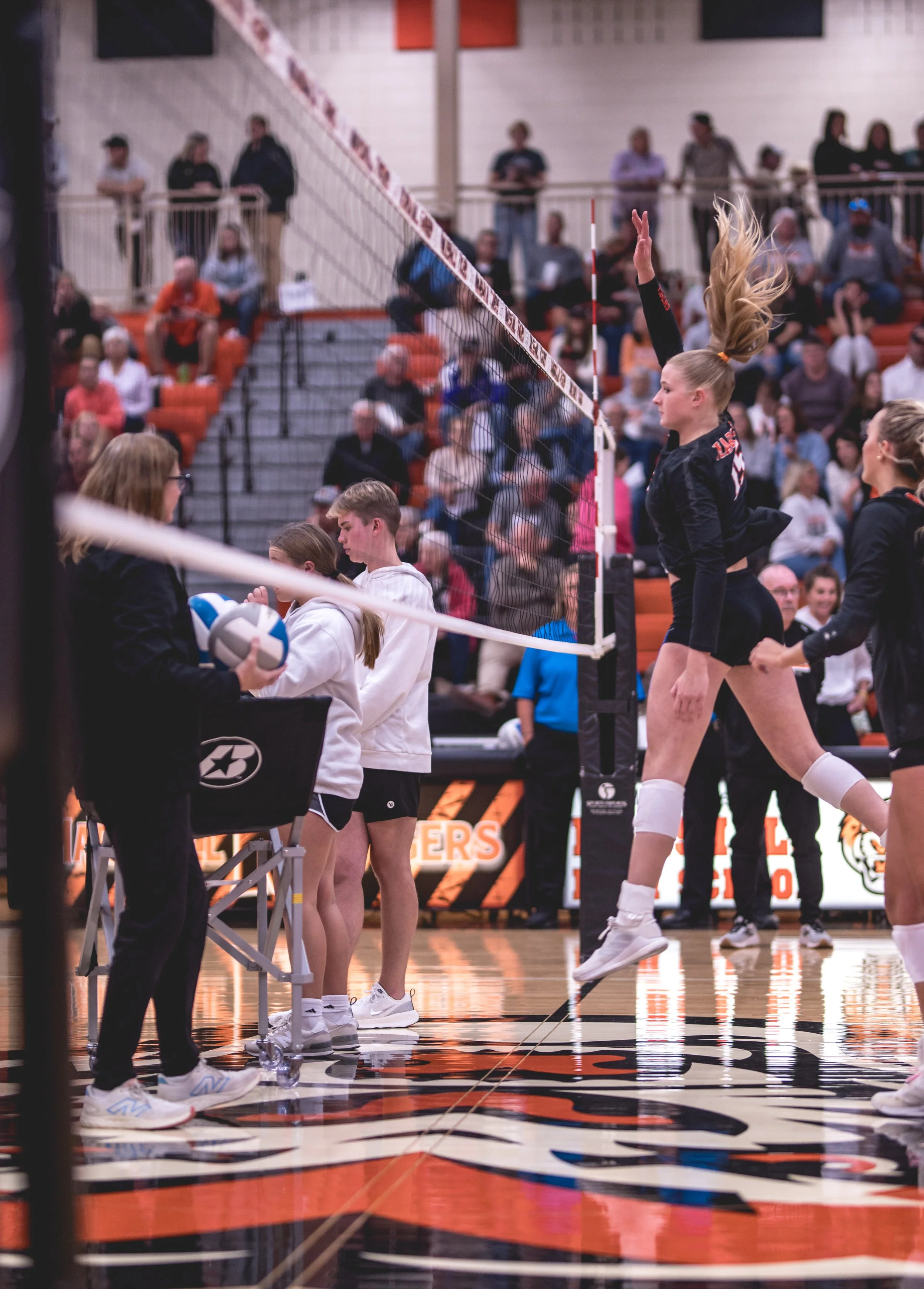 Tigers vs Alex (47).JPG